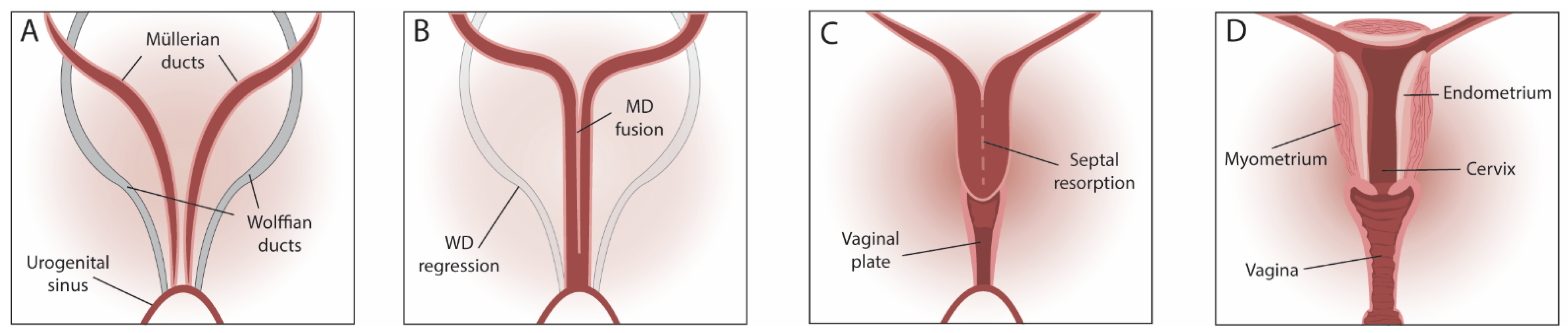 Jpm 12 01048 g002 Jpm 12 01048 g002