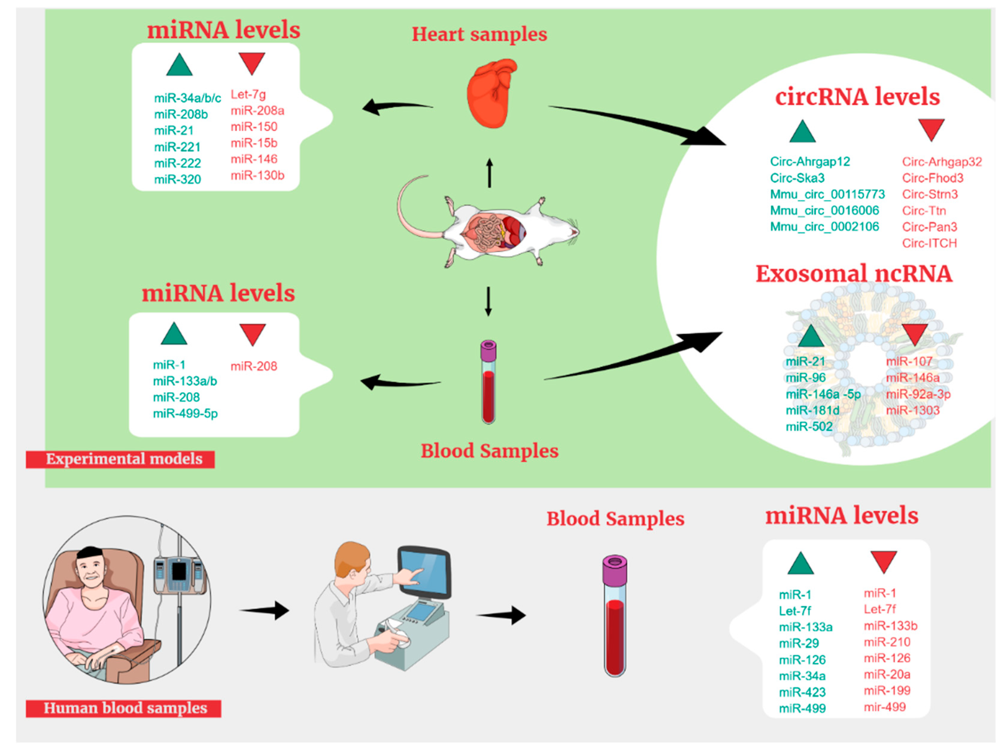 Jpm 12 01059 g001 550