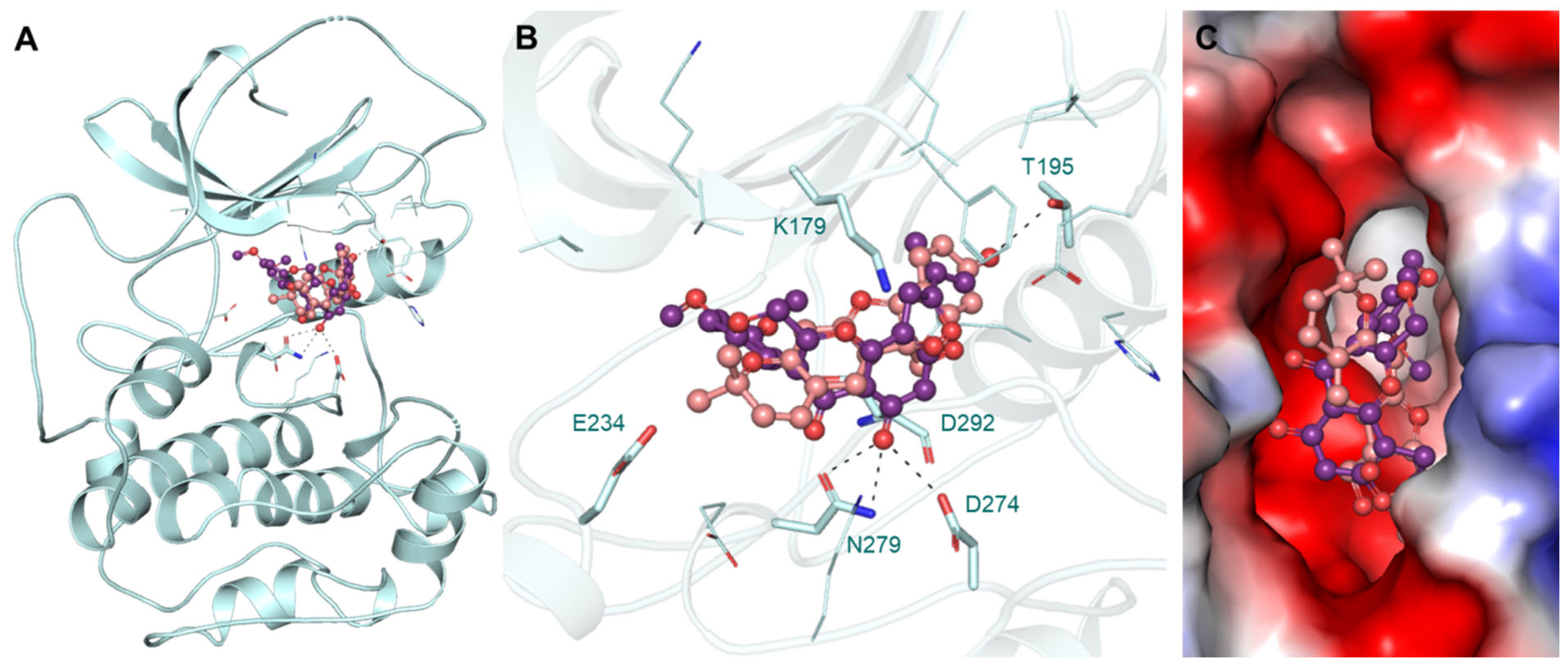 Jpm 12 01083 g001 550