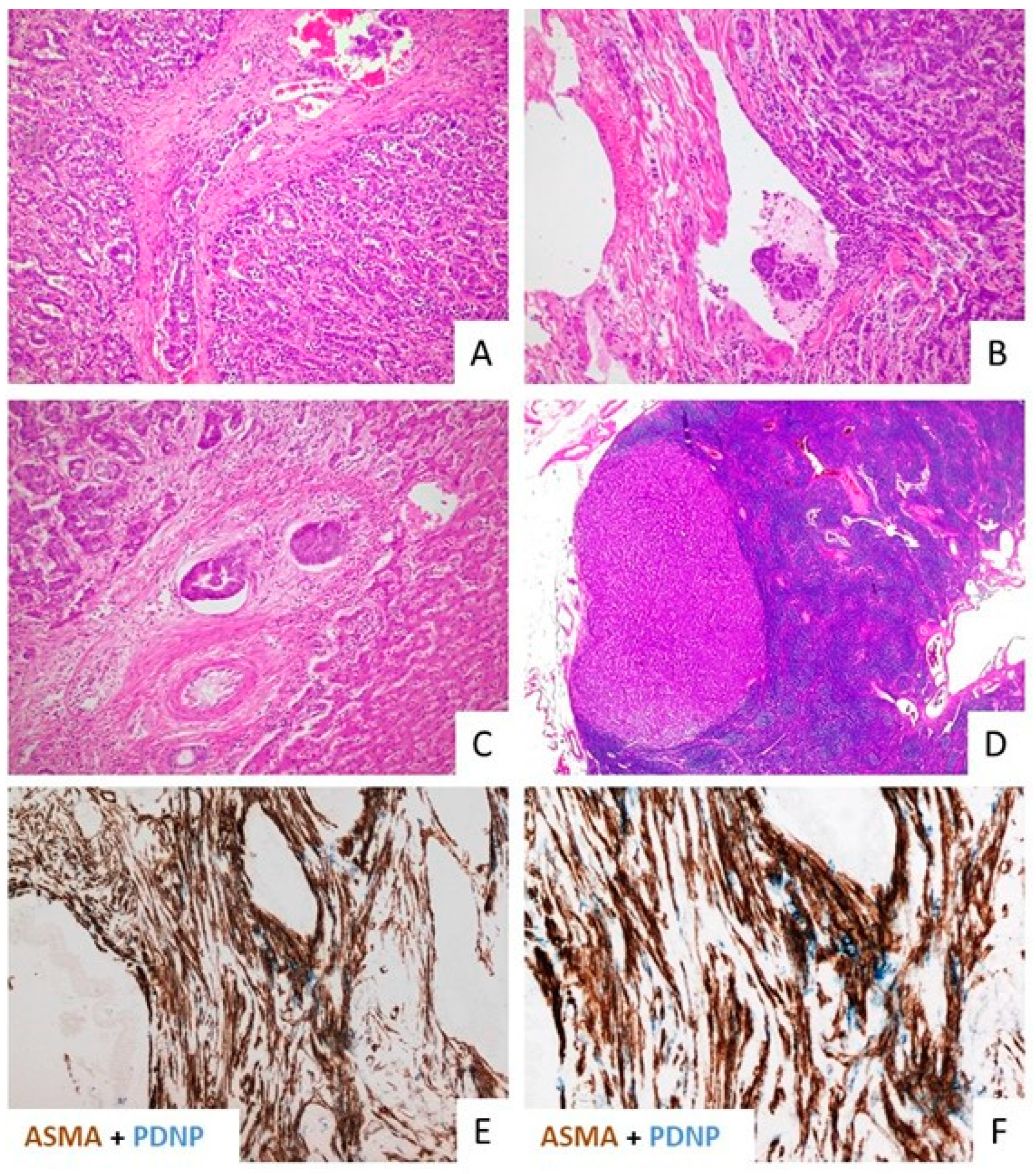 Jpm 12 01086 g001 Jpm 12 01086 g001