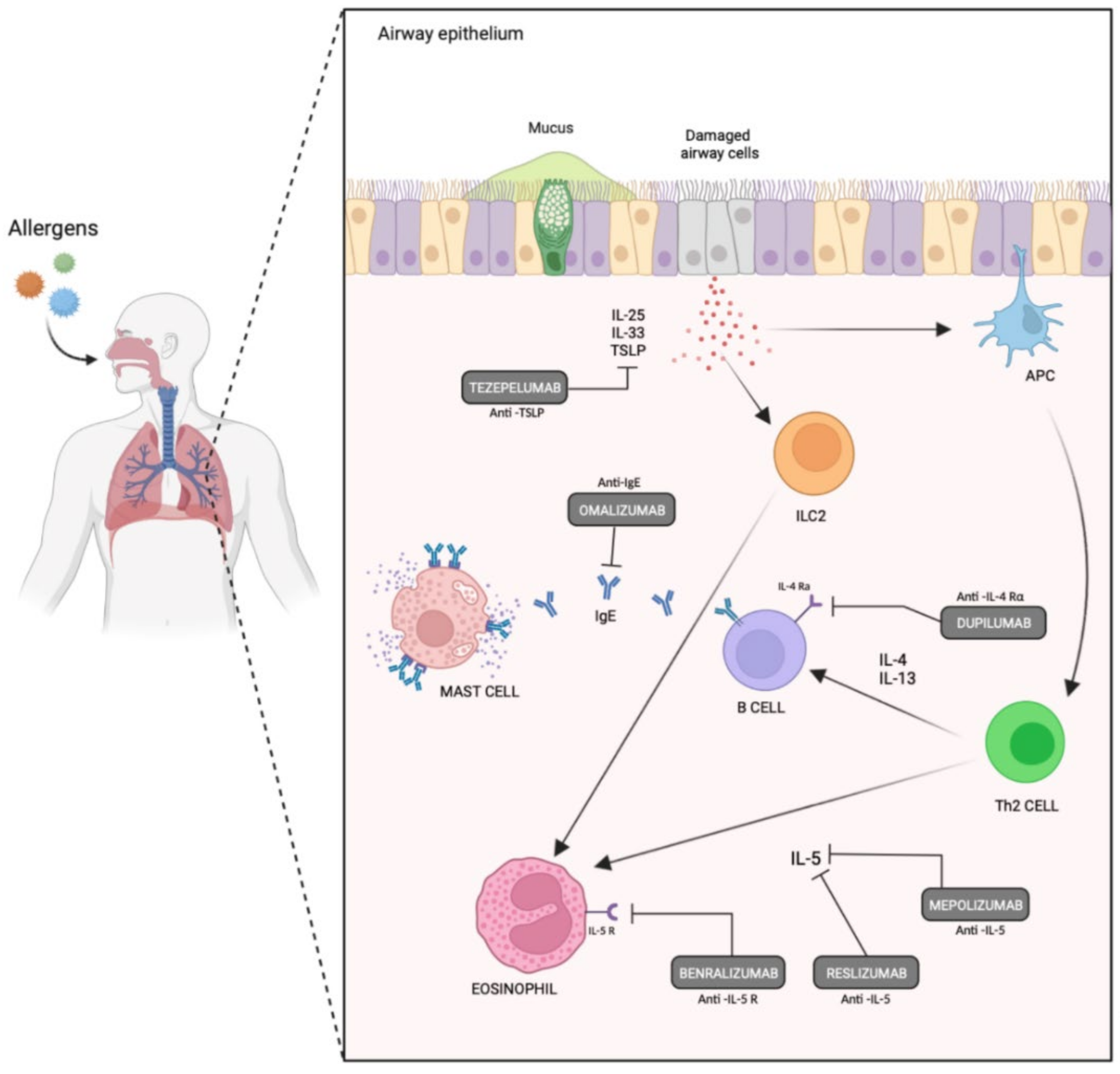 Jpm 12 01093 g002 550
