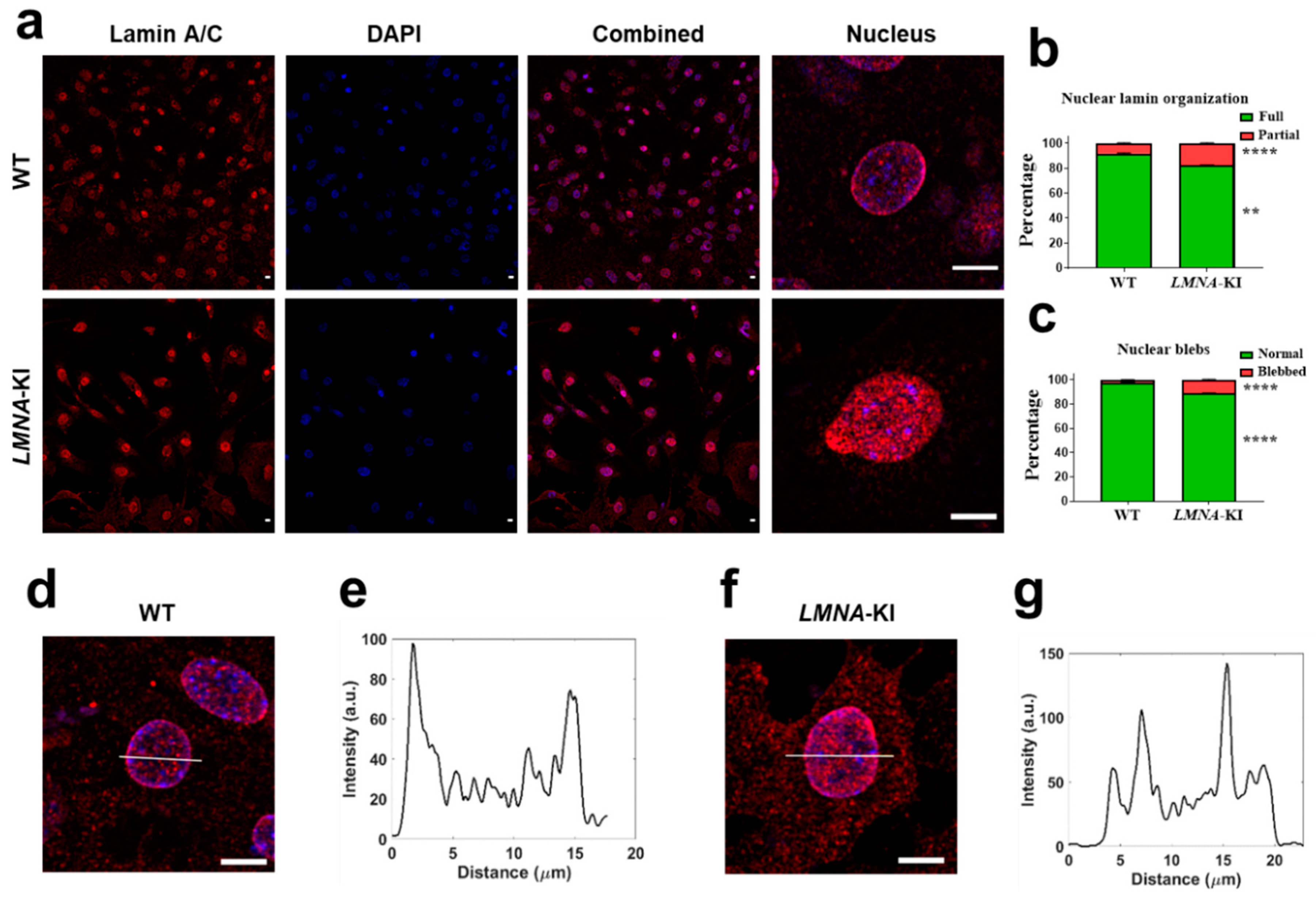 Jpm 12 01149 g004 550