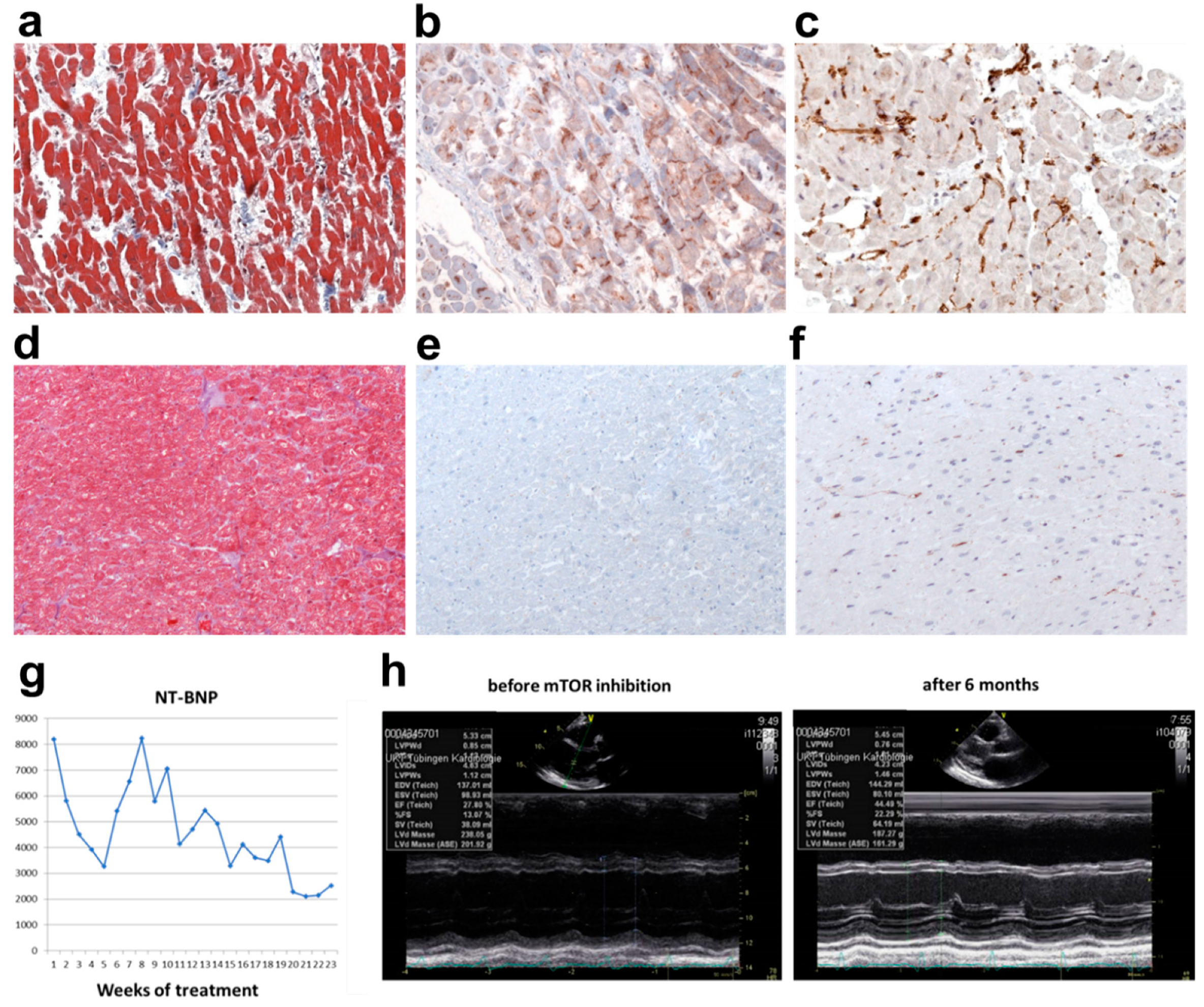 Jpm 12 01149 g006 550