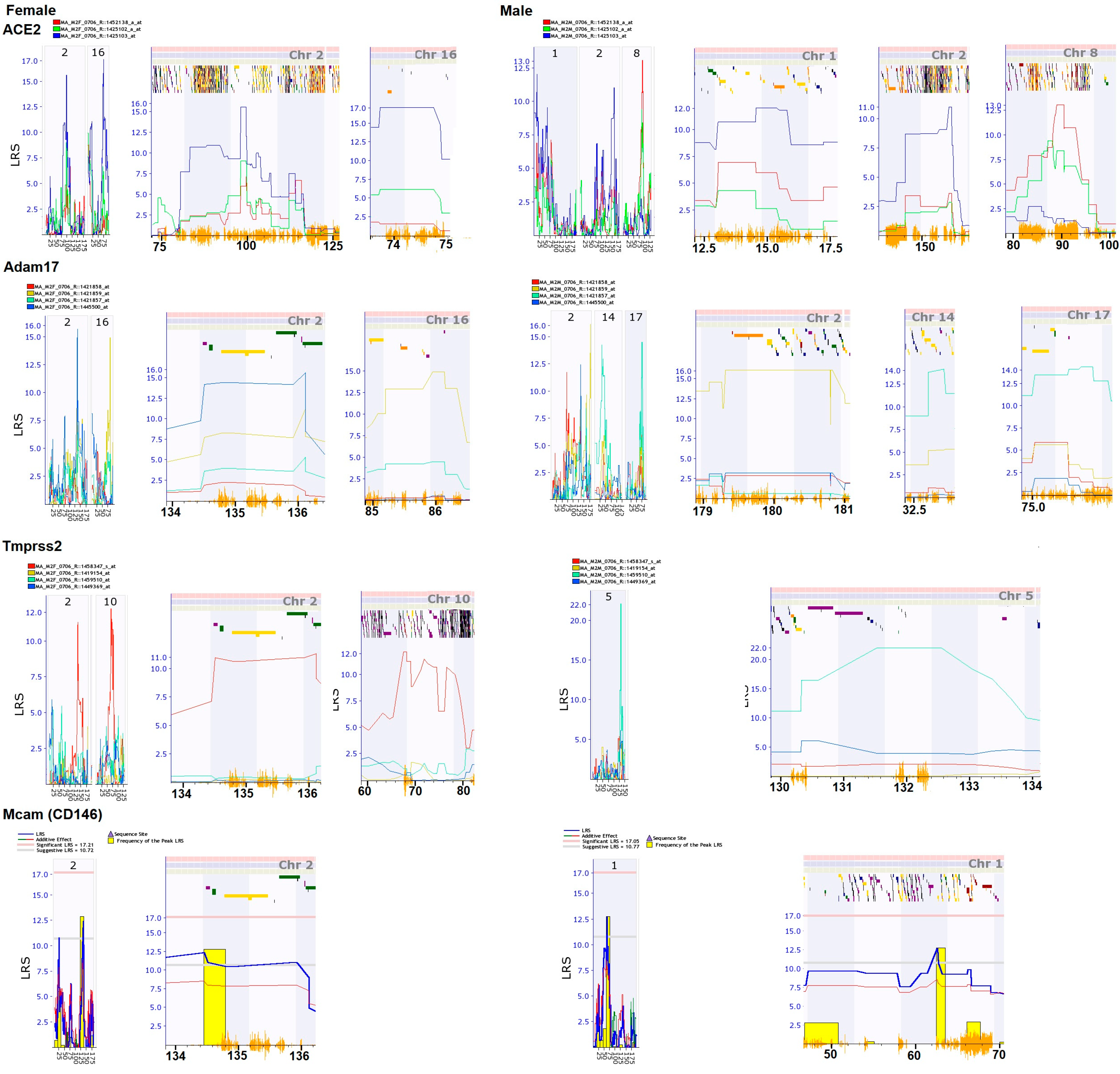 Jpm 12 01190 g003 550