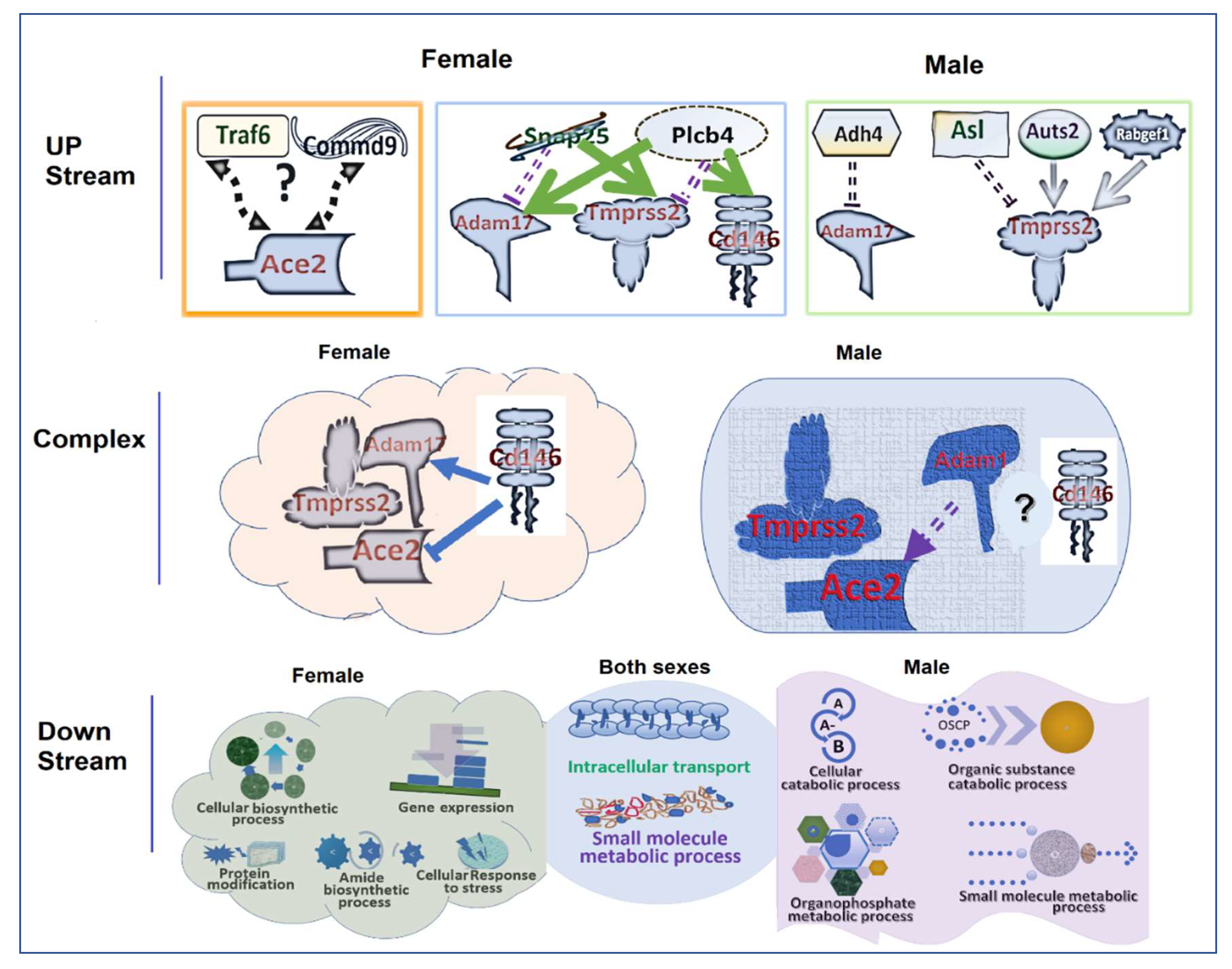 Jpm 12 01190 g006 550
