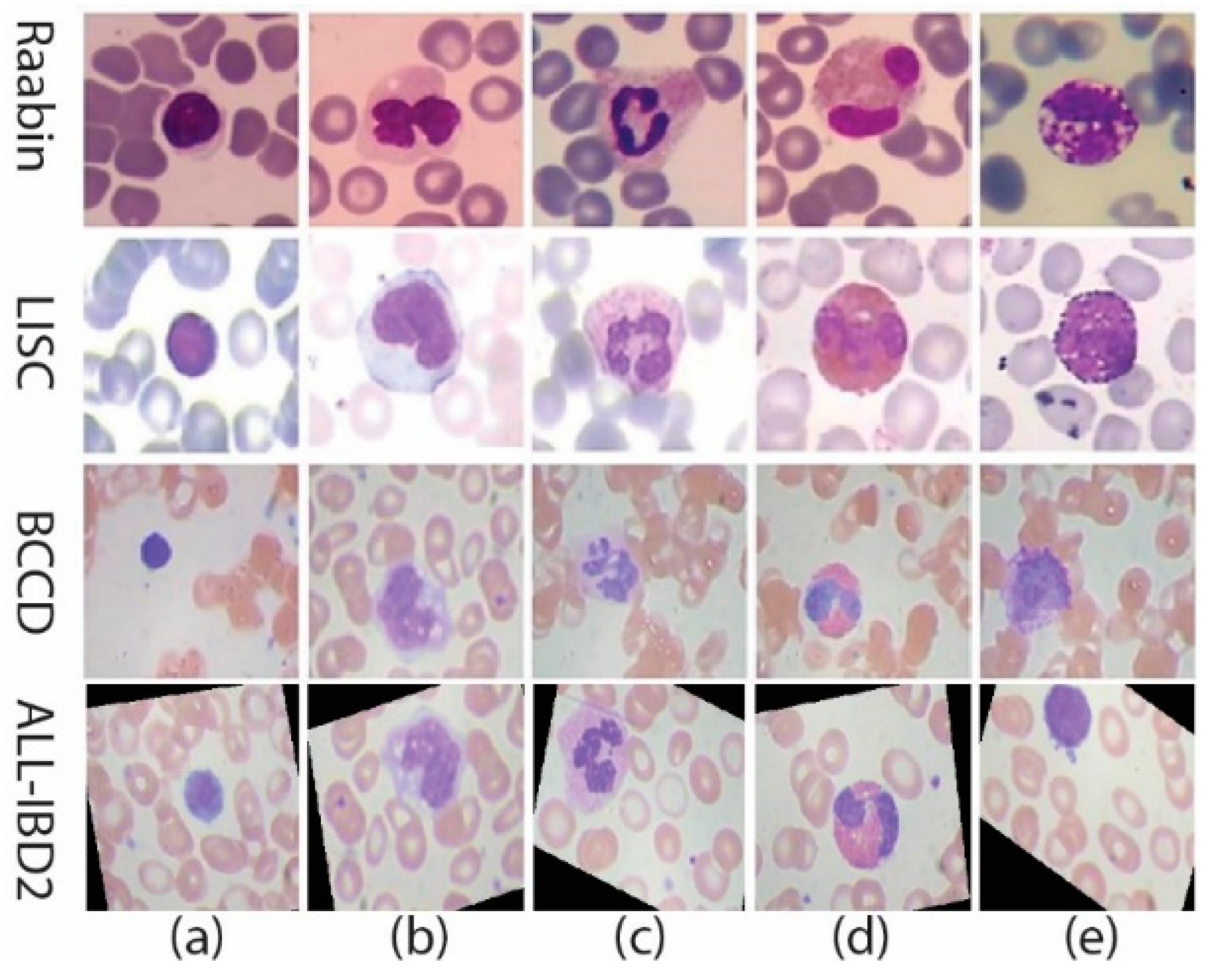 Jpm 12 01232 g001 550