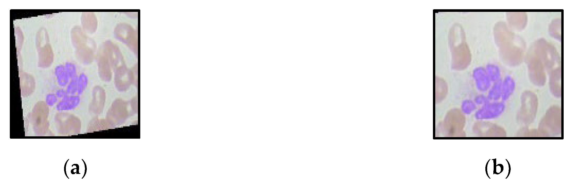 Jpm 12 01232 g003 550