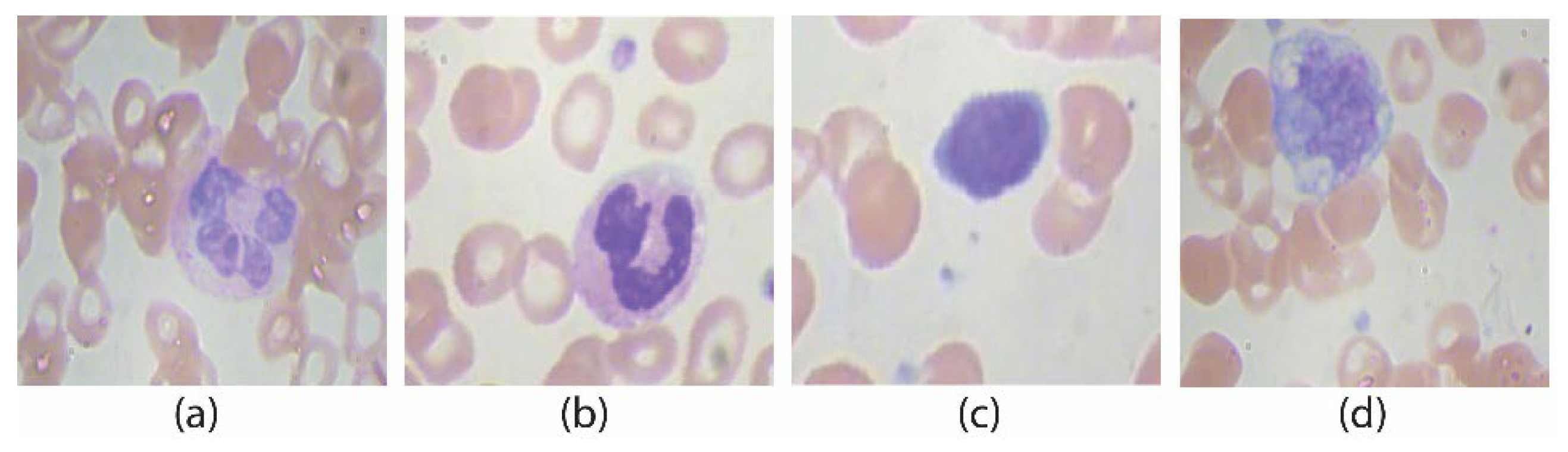 Jpm 12 01232 g014 550