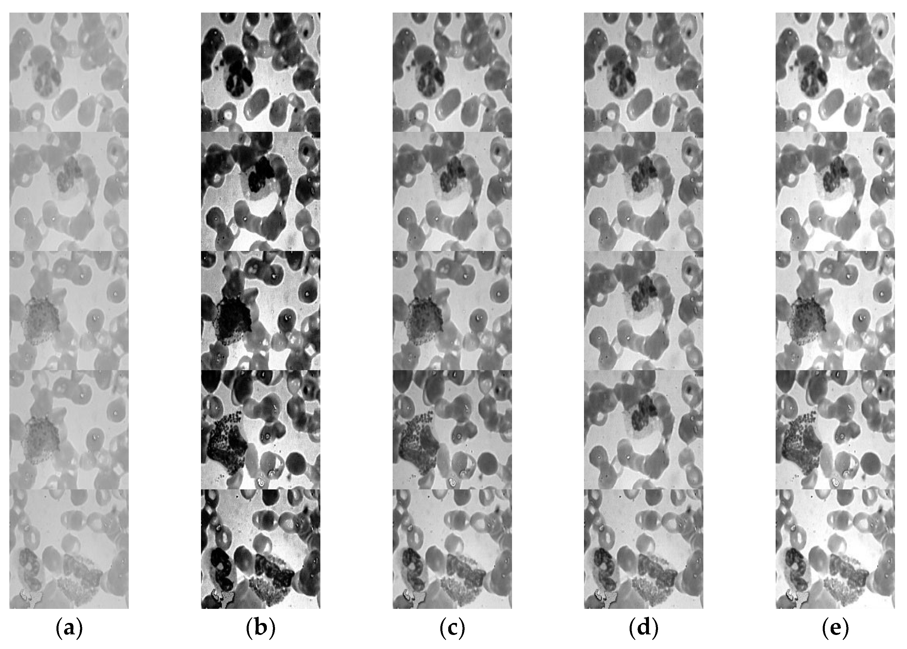 Jpm 12 01232 g017 550