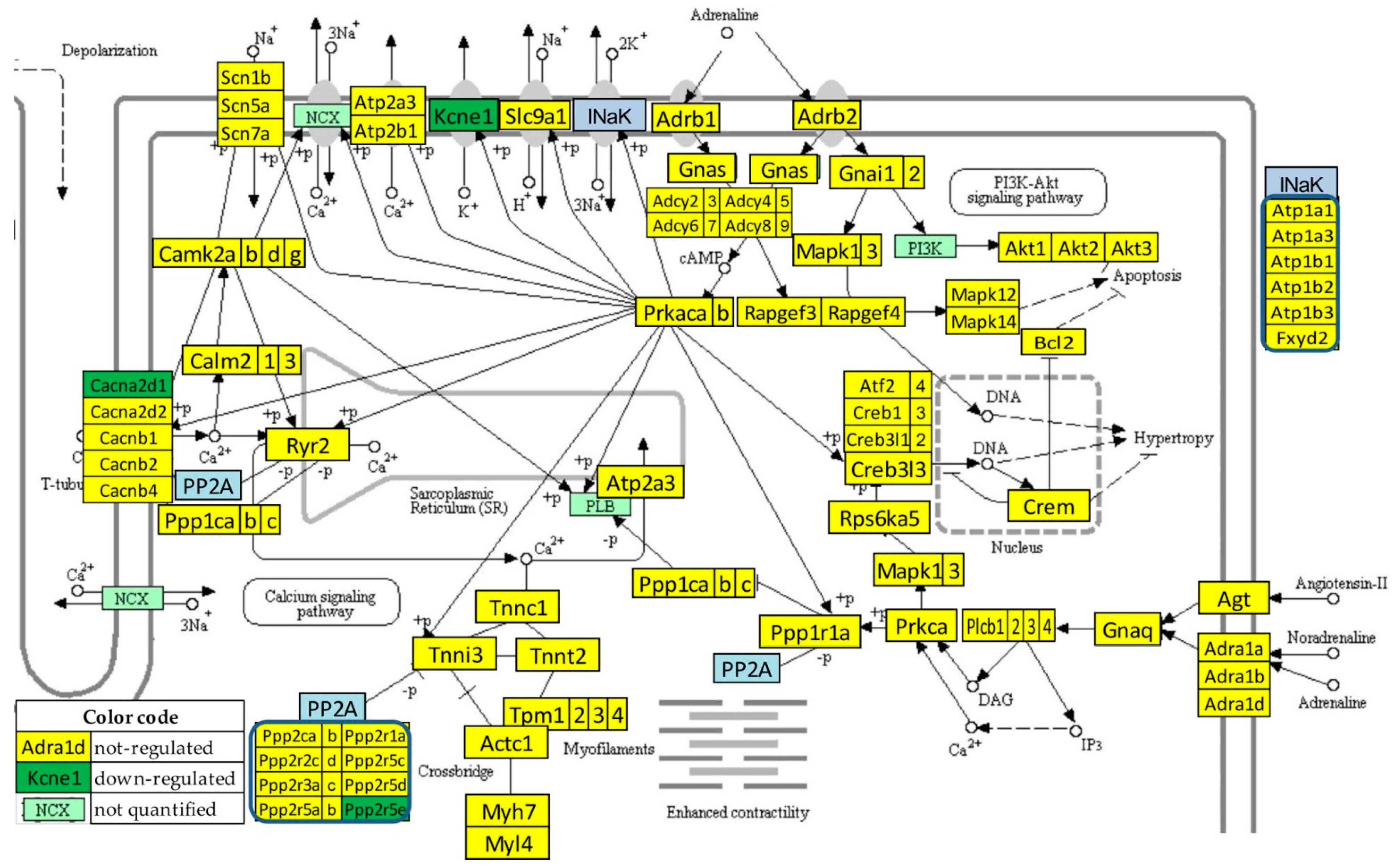 Jpm 12 01246 g005 Jpm 12 01246 g005
