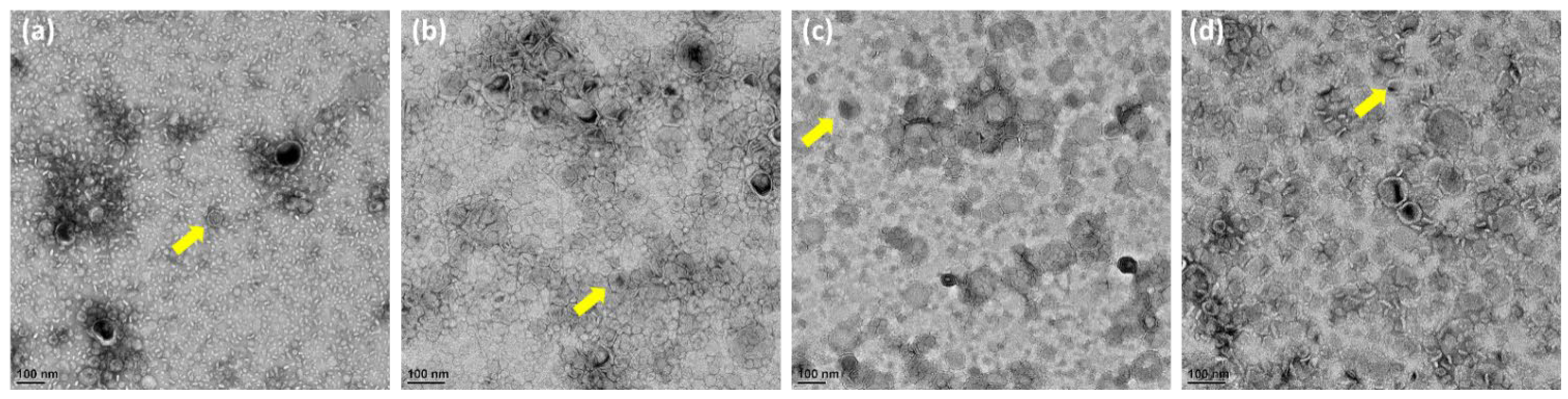 Jpm 12 01301 g002 550