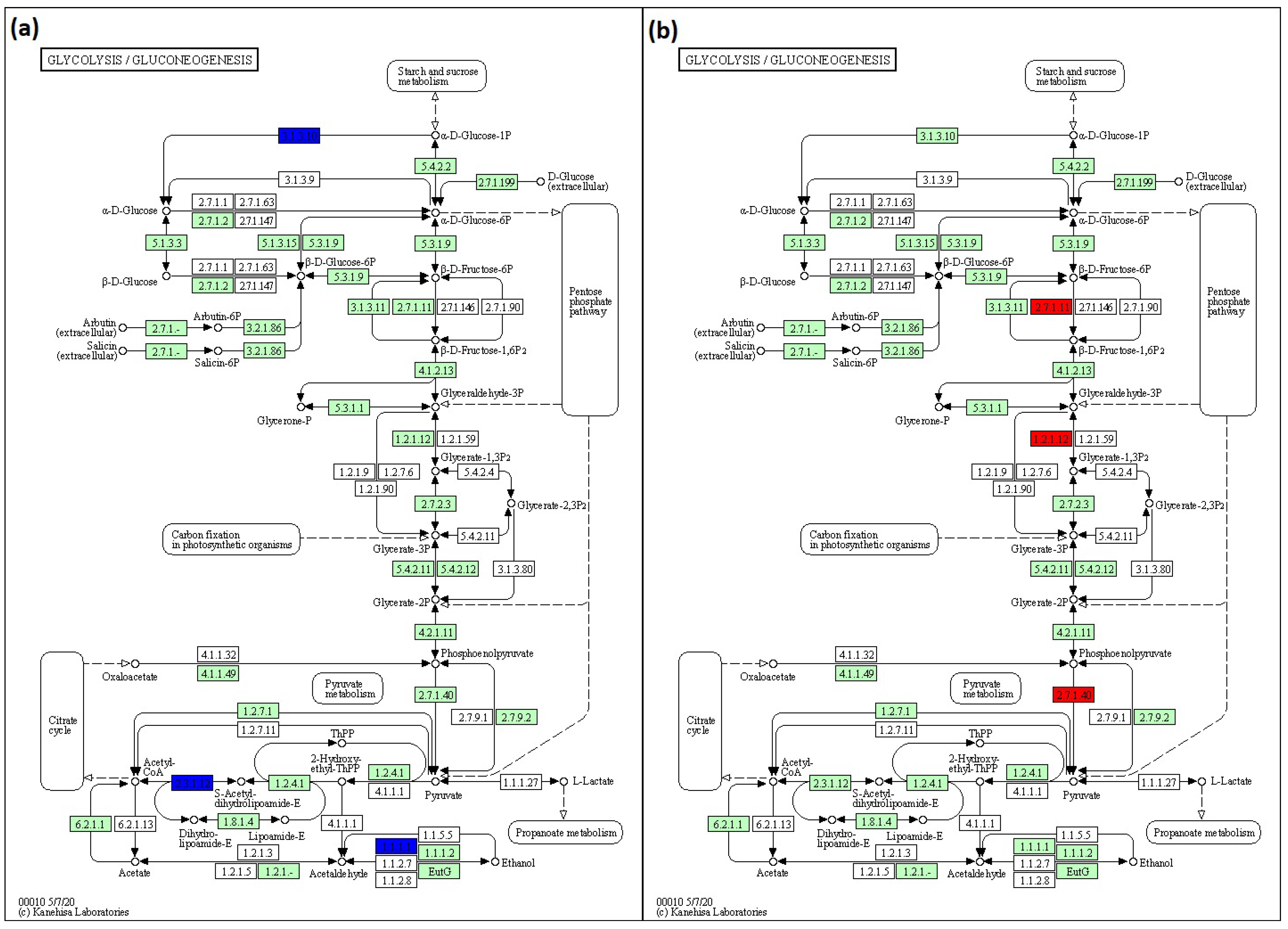 Jpm 12 01301 g007 550