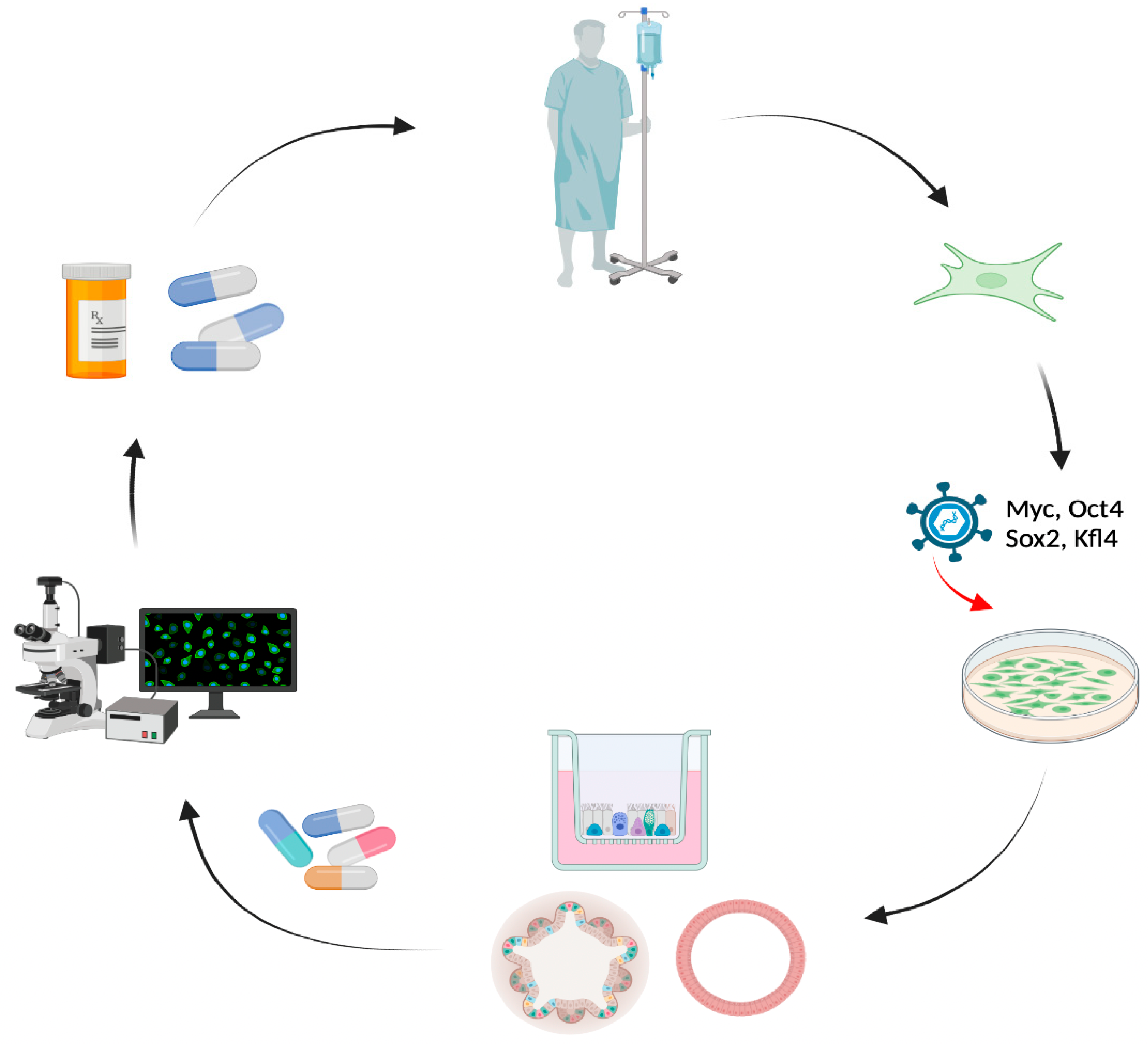 Jpm 12 01321 g002 550