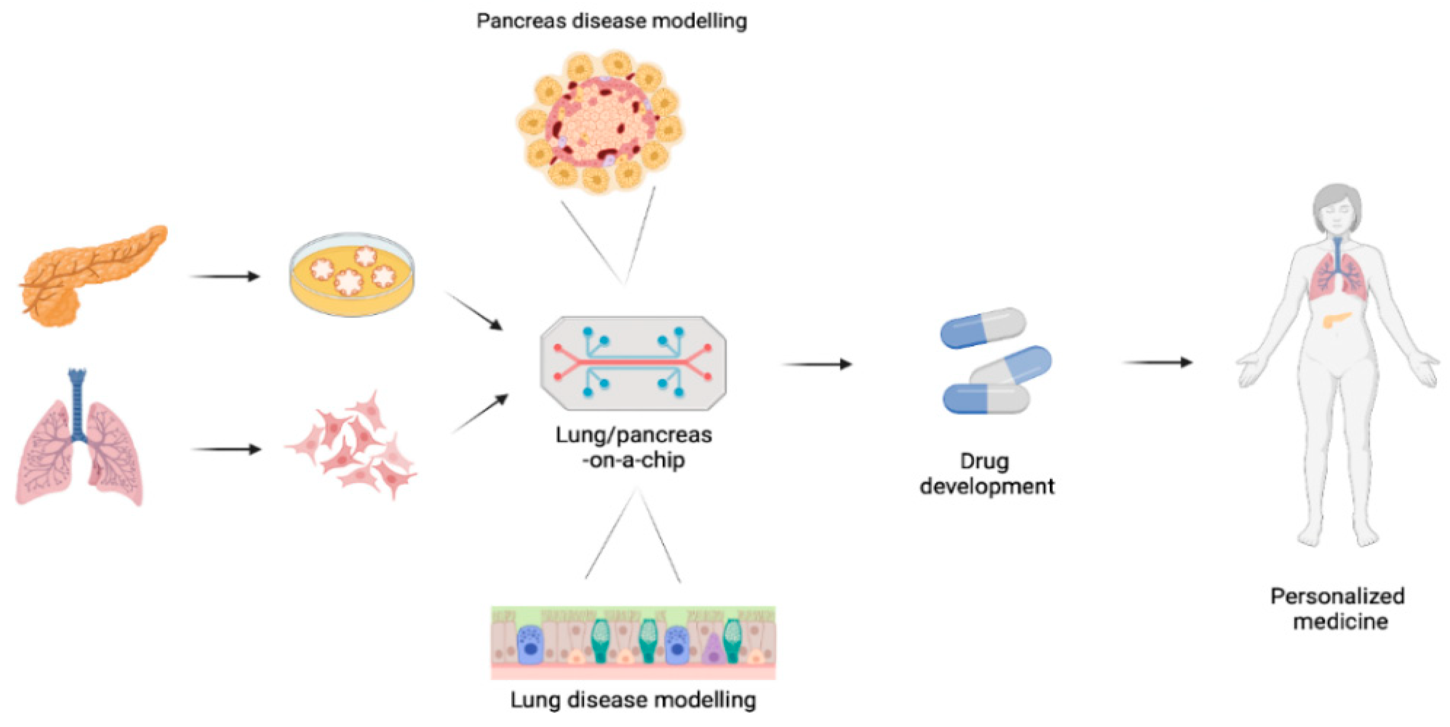 Jpm 12 01321 g003 550