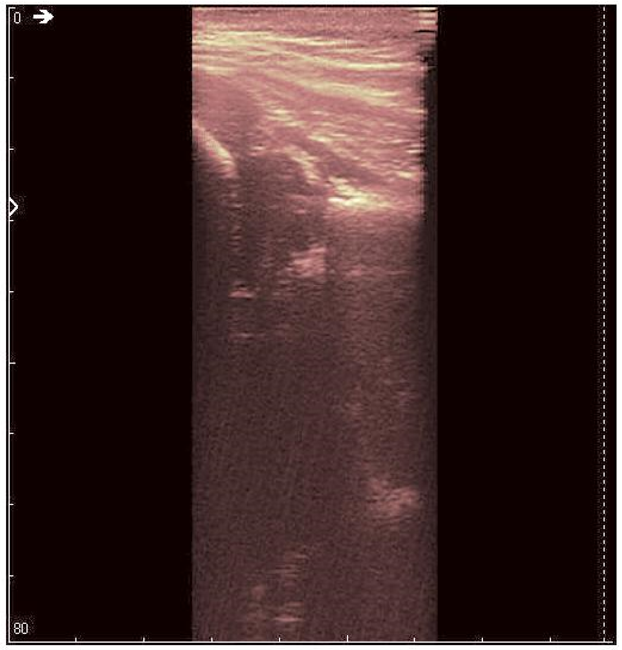 Jpm 12 01328 g012 550