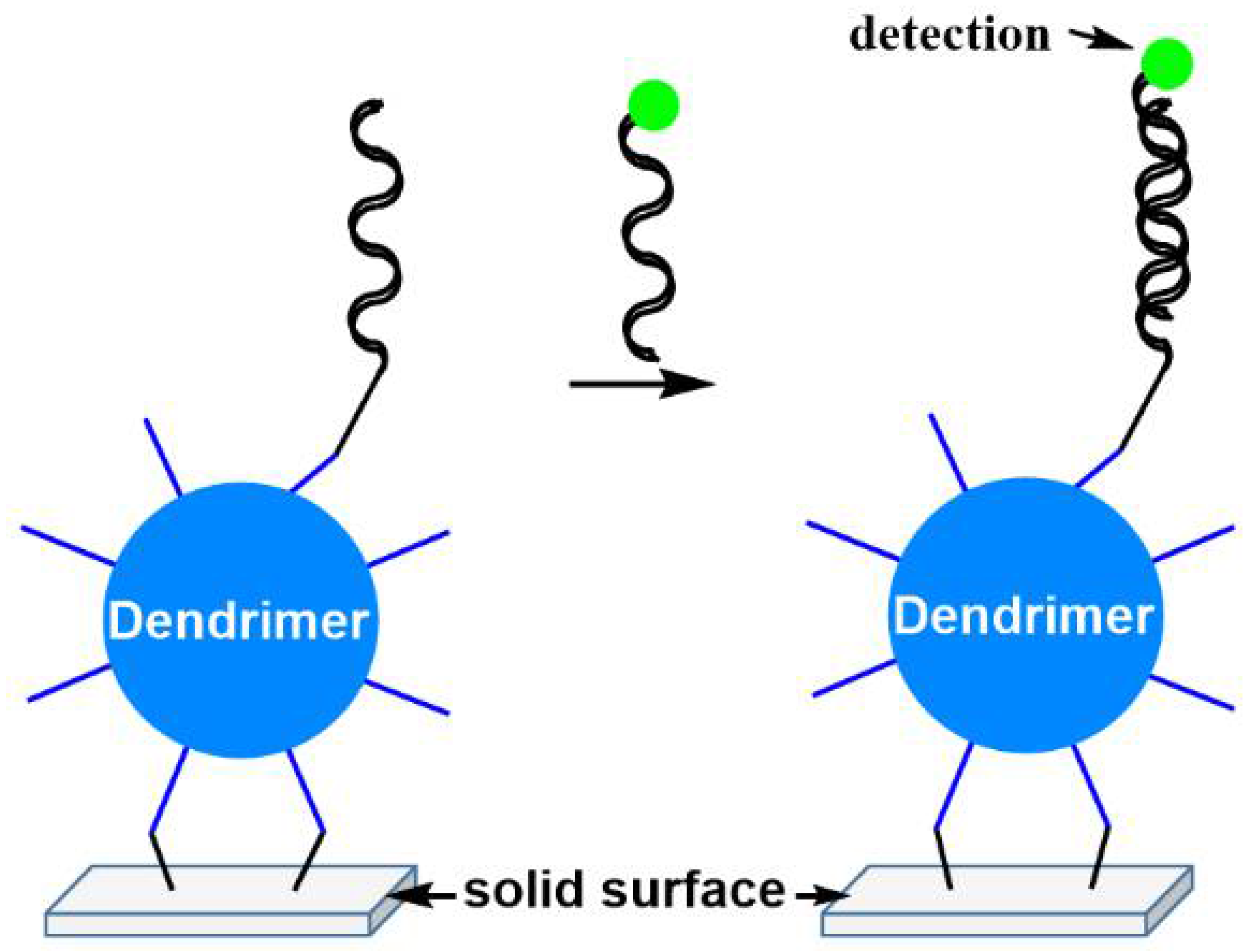 Jpm 12 01334 g008 Jpm 12 01334 g008