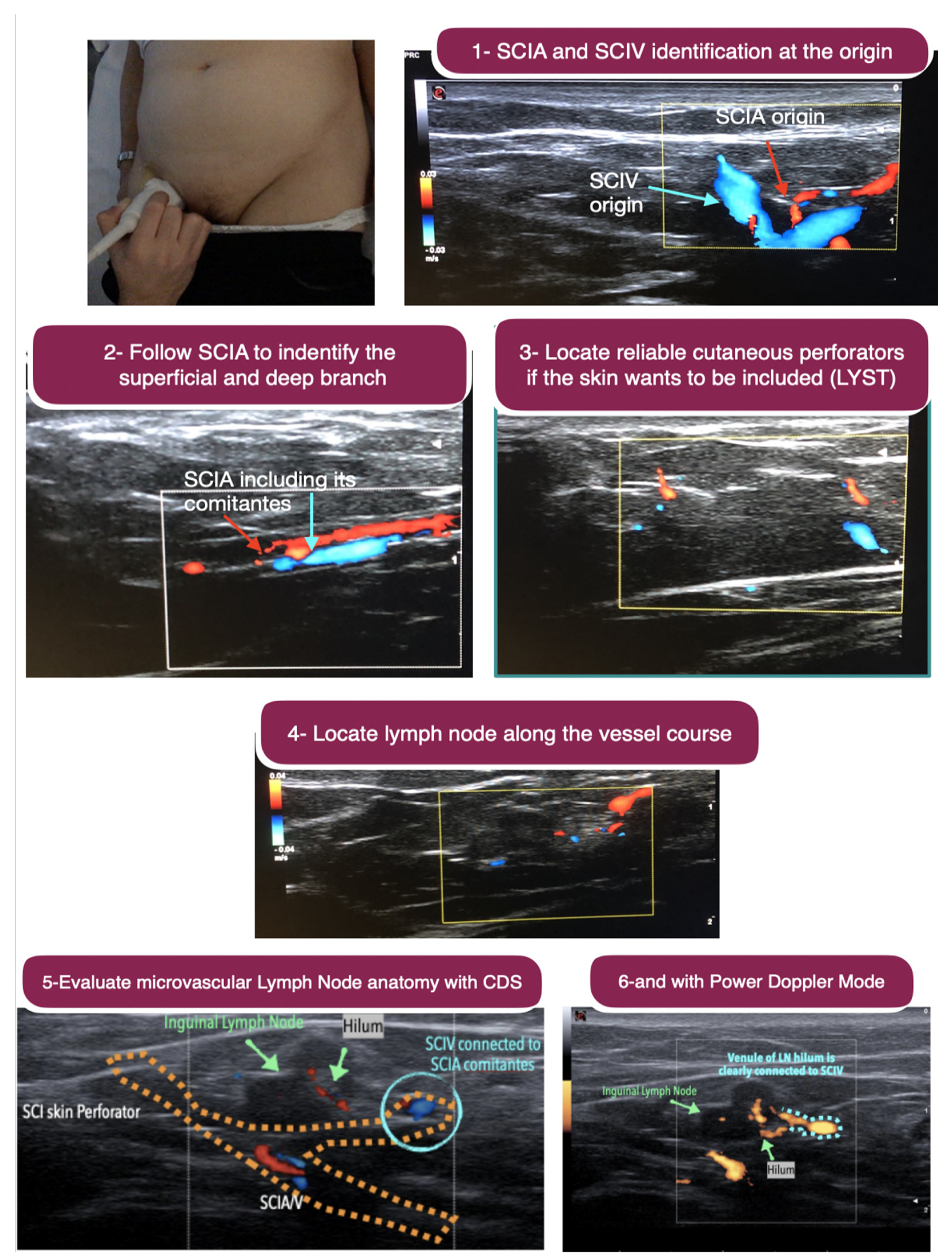 Jpm 12 01346 g002 550
