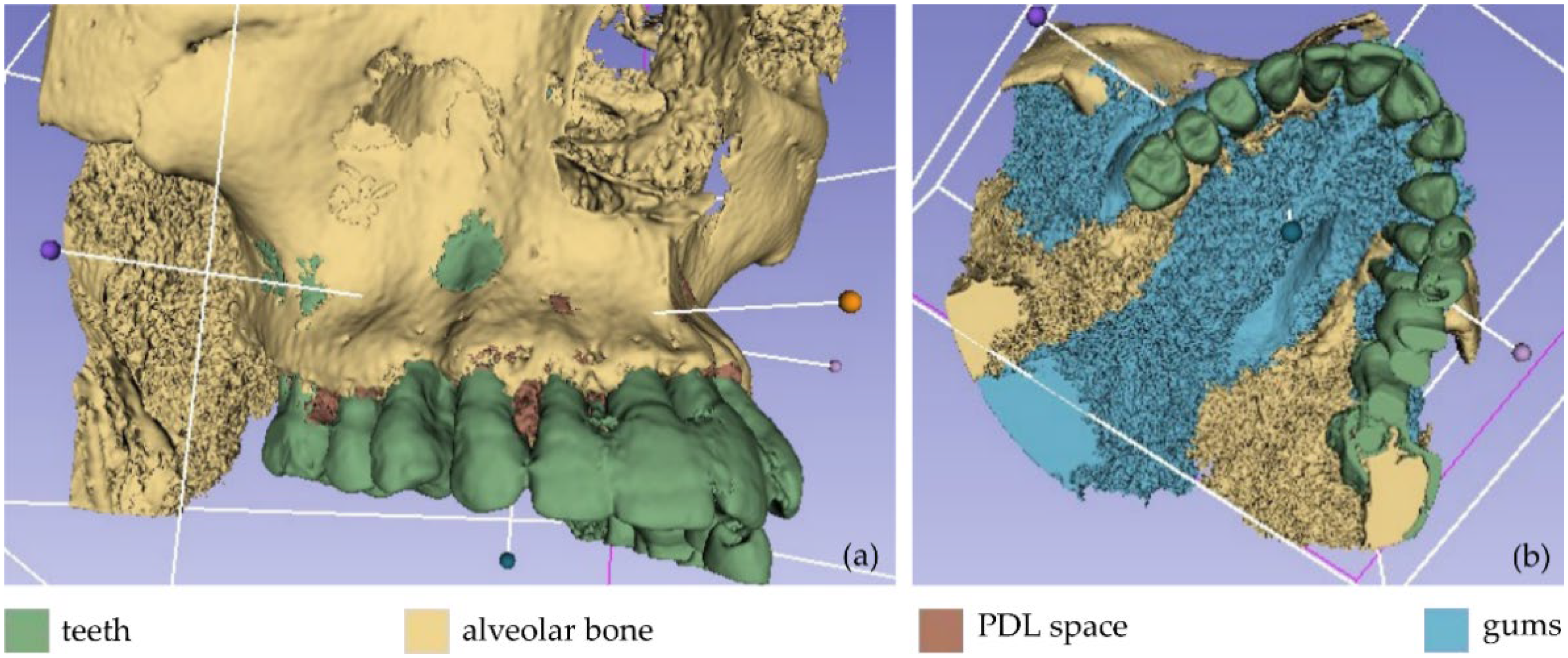 Jpm 12 01355 g003 550