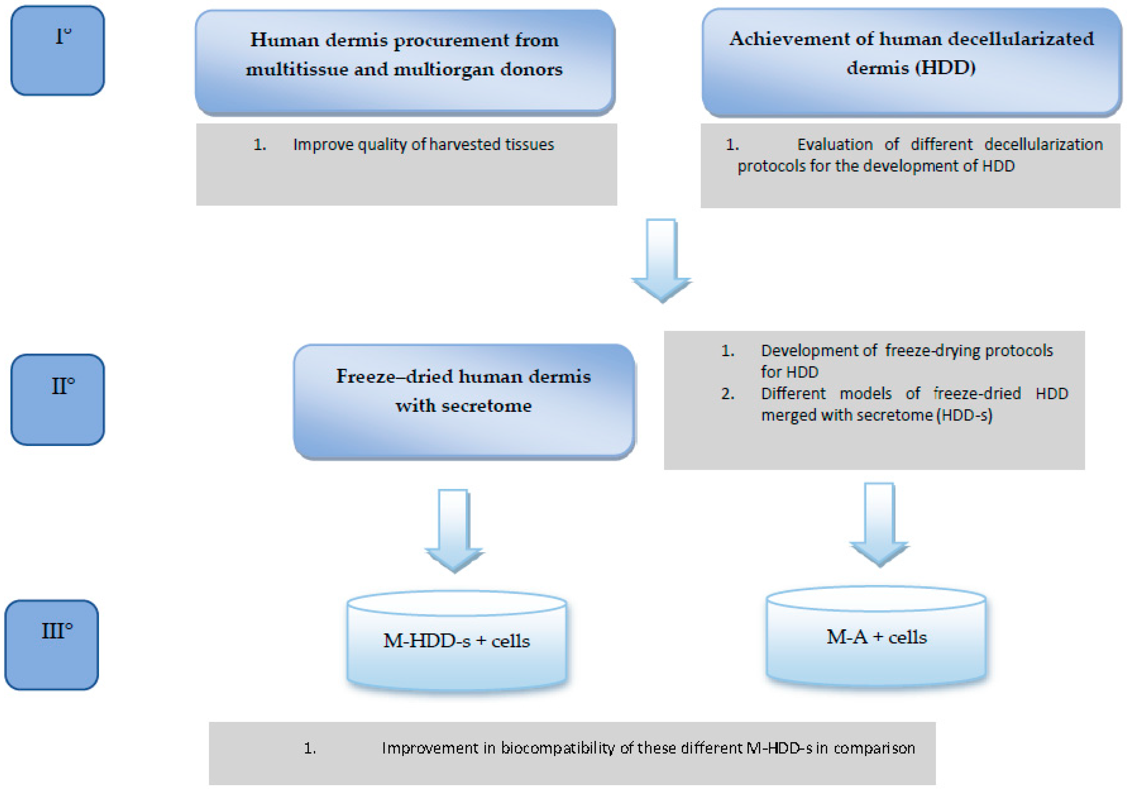 Jpm 12 01411 g001 550