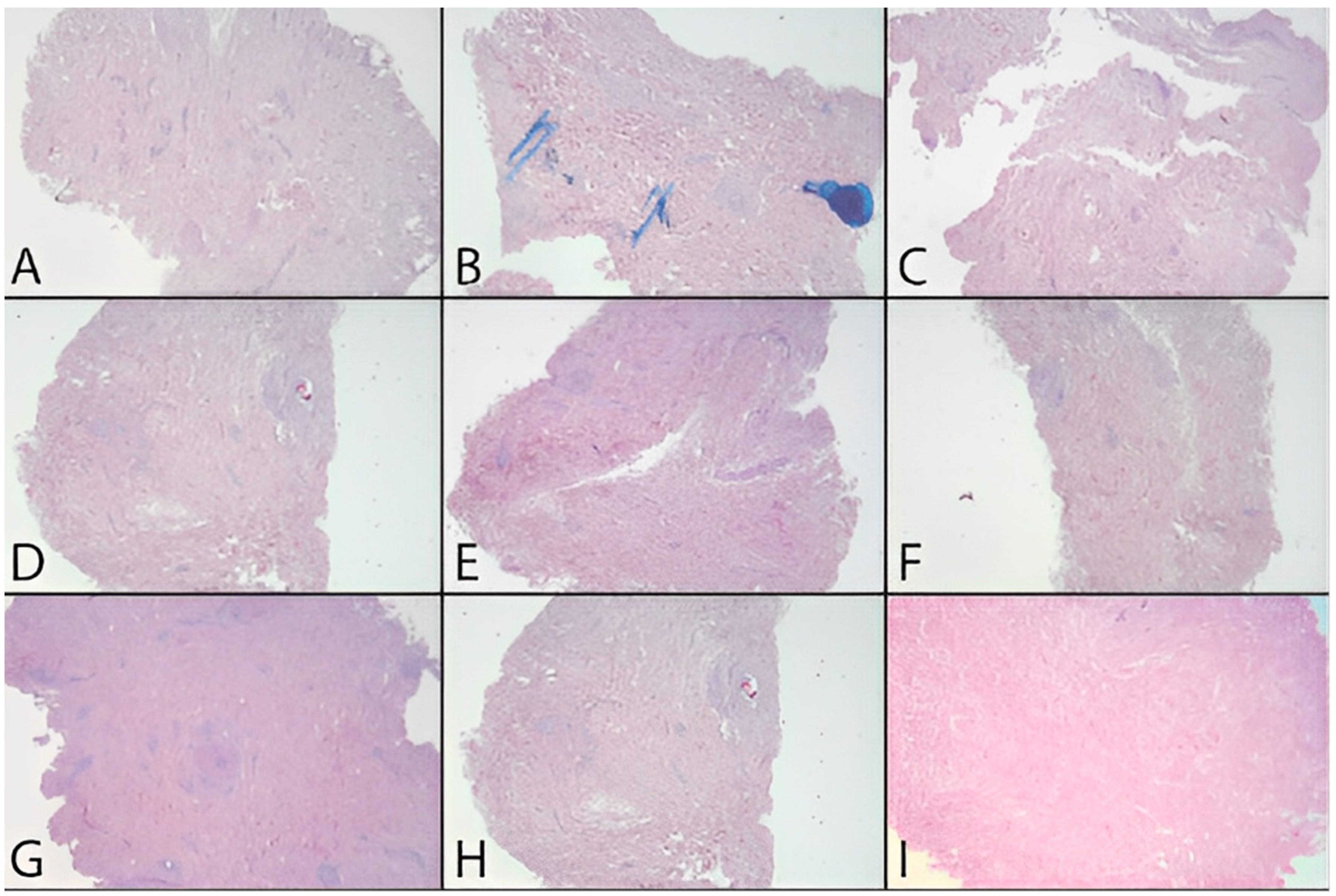 Jpm 12 01411 g008 550