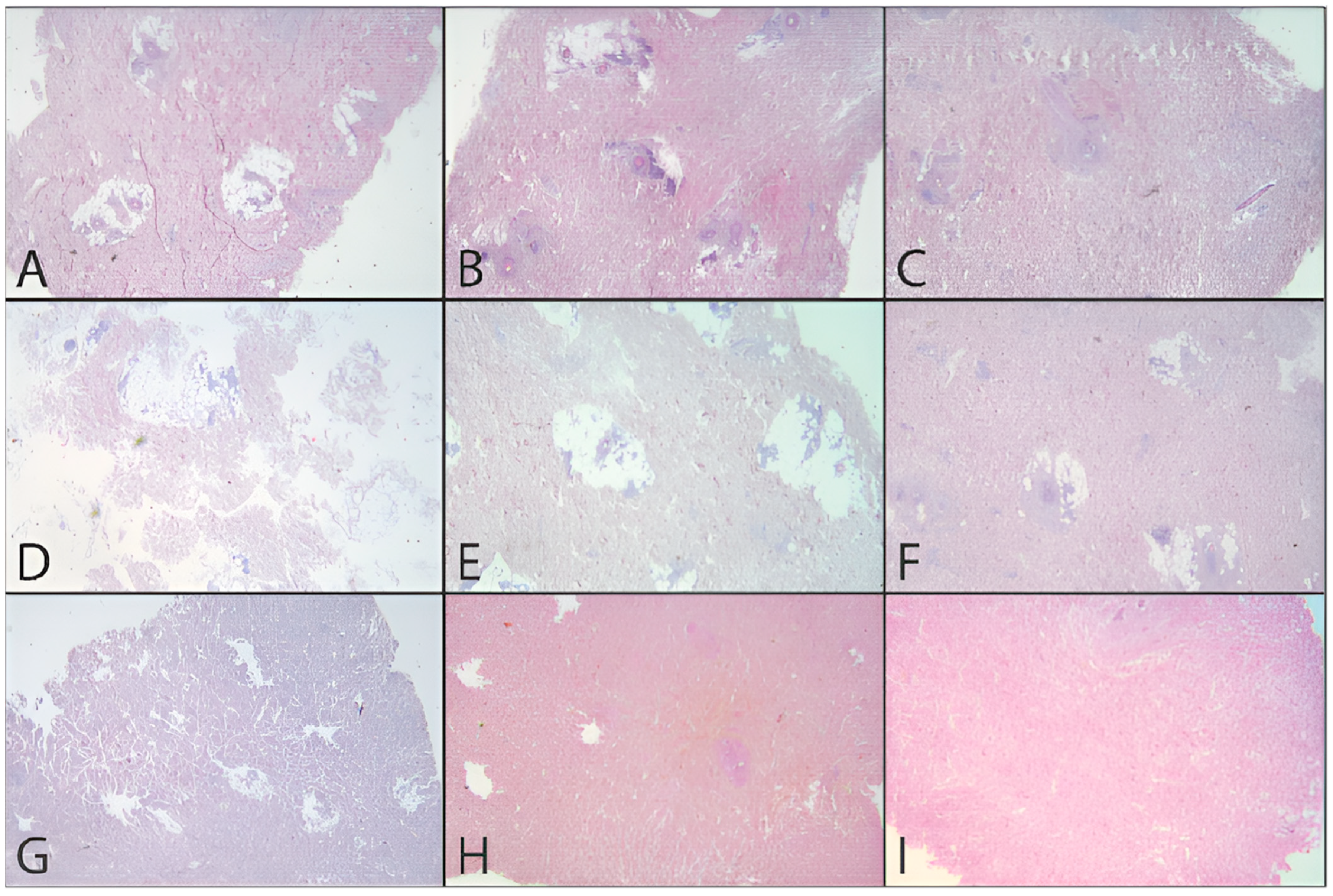 Jpm 12 01411 g009 550