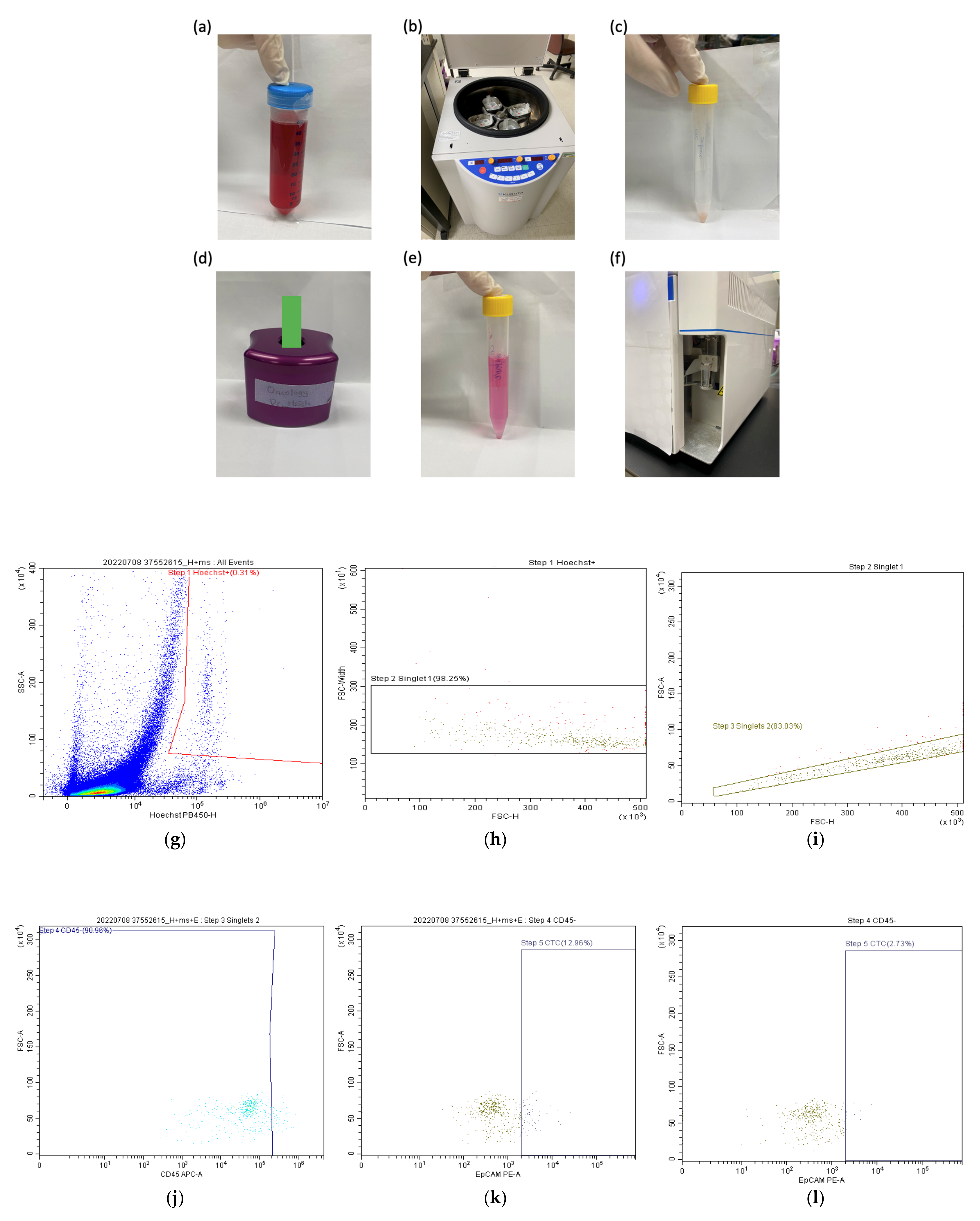Jpm 12 01440 g001 550
