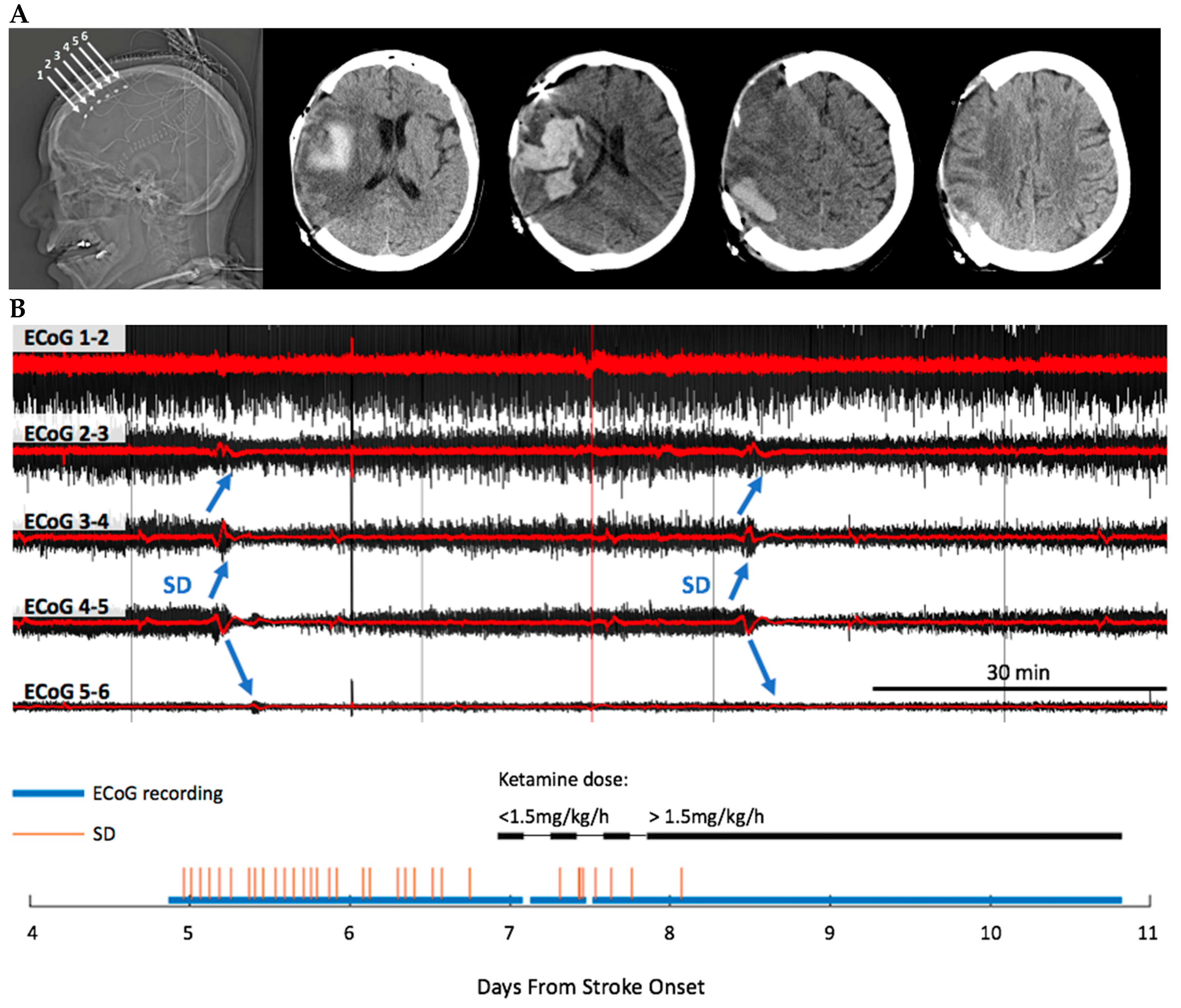 Jpm 12 01447 g002 550