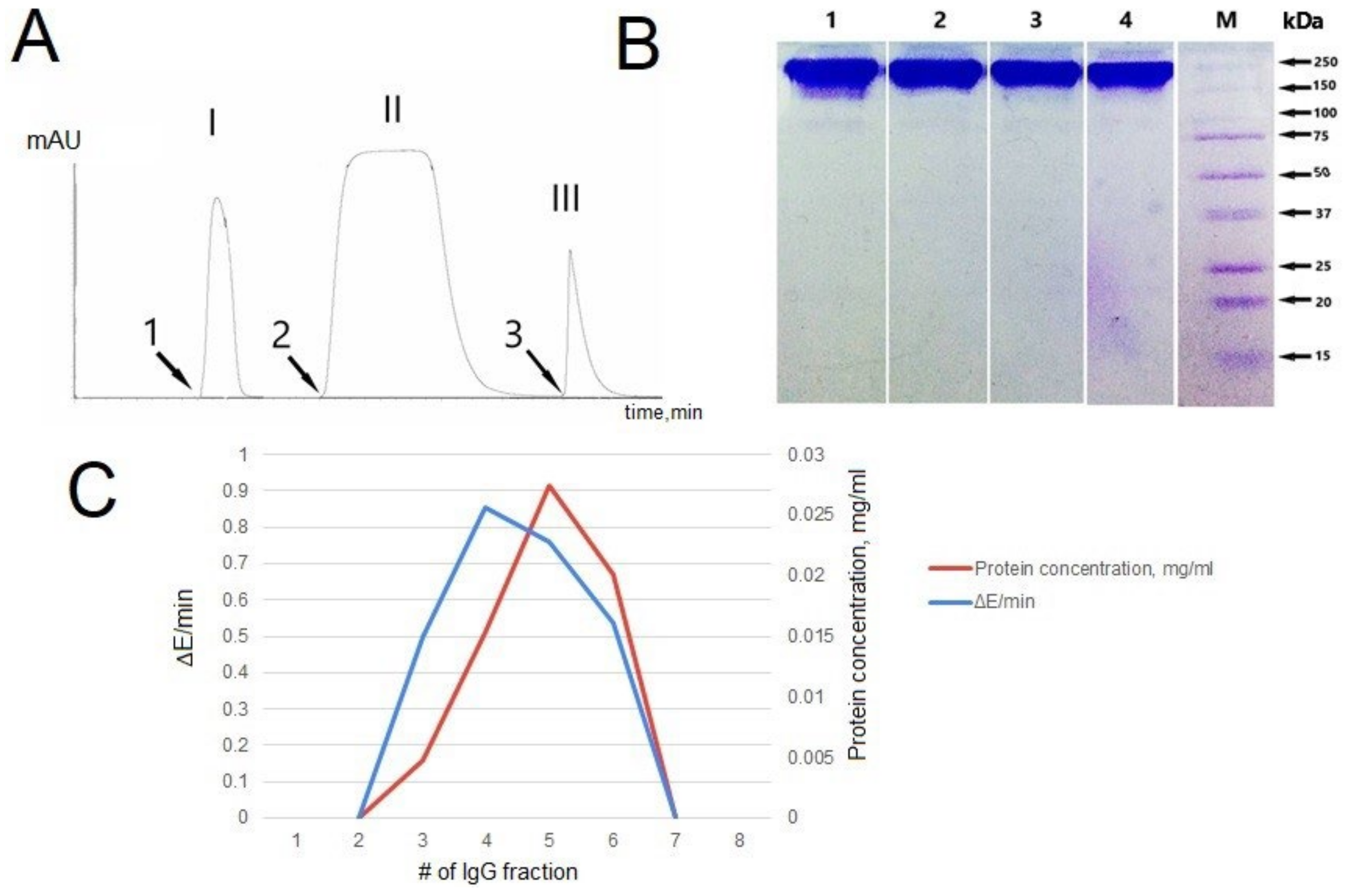 Immunoglobulins G of Patients with Schizophrenia Protects