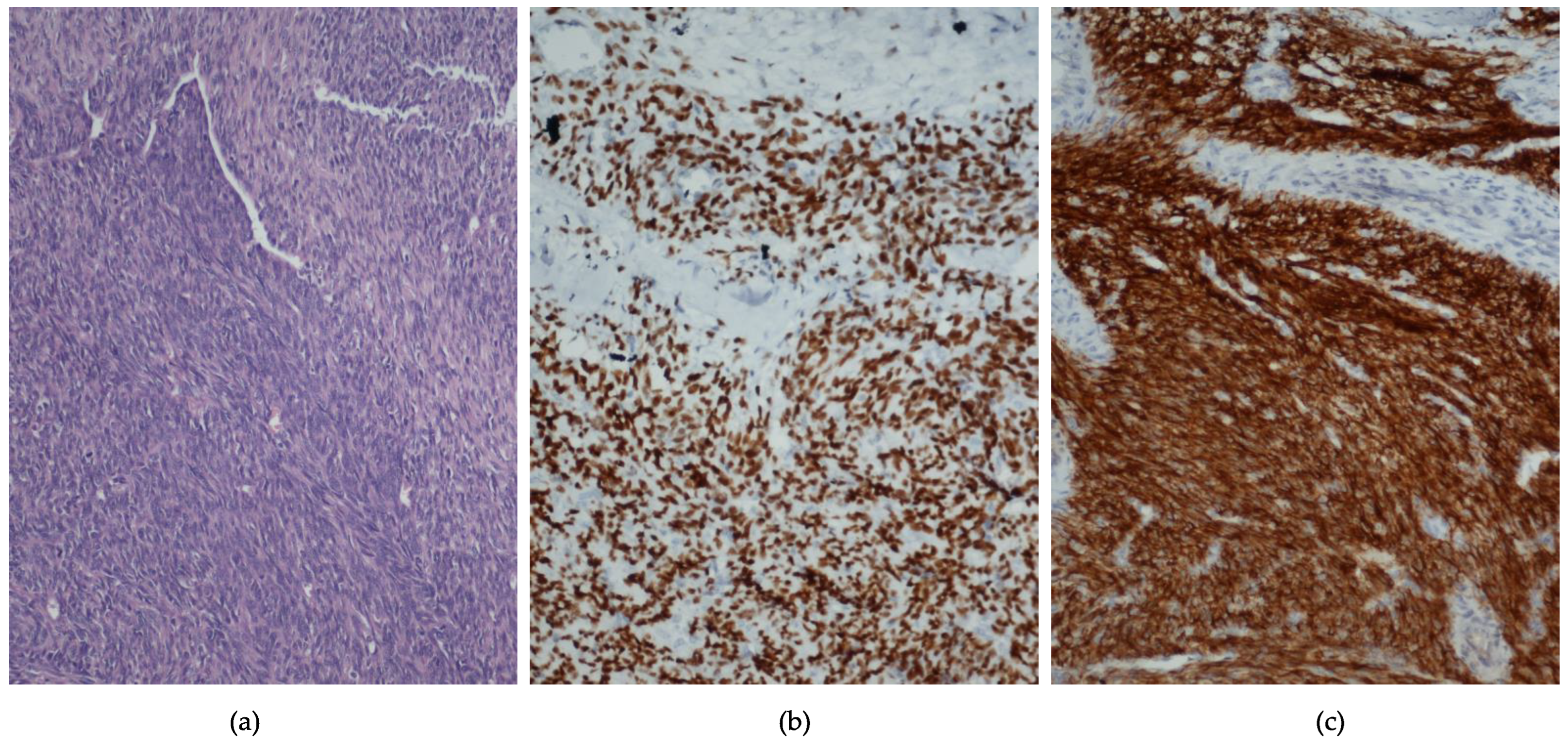 Jpm 12 01450 g001 Jpm 12 01450 g001