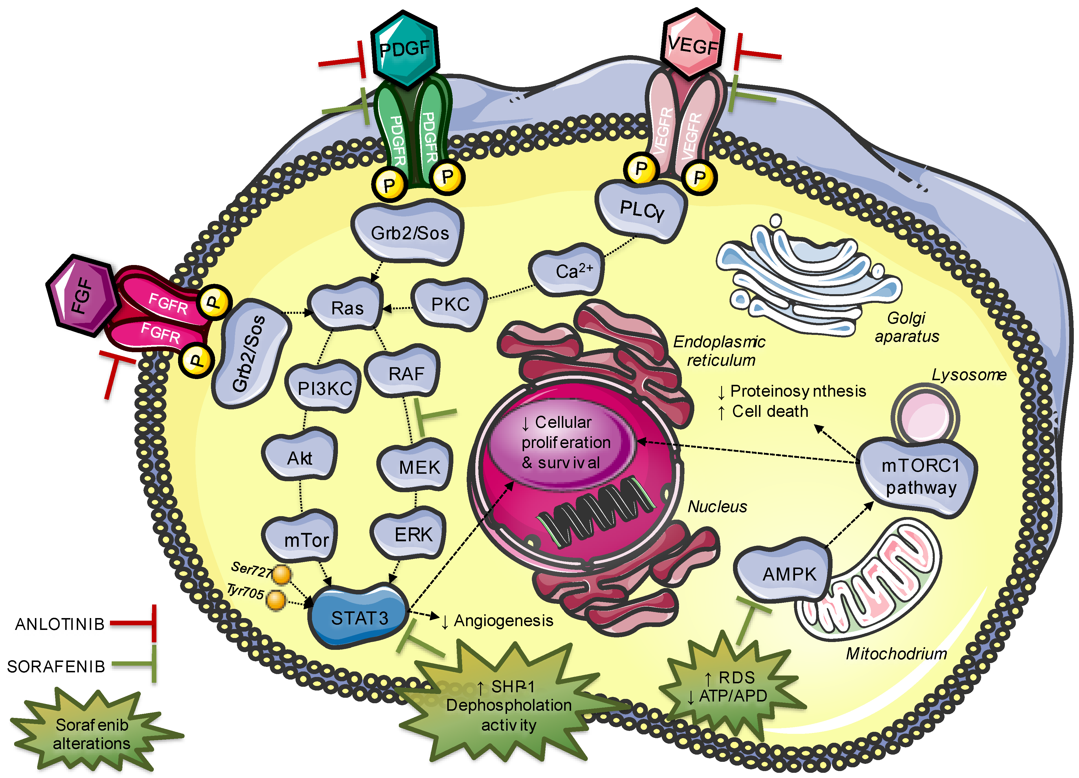 Jpm 12 01450 g003 Jpm 12 01450 g003