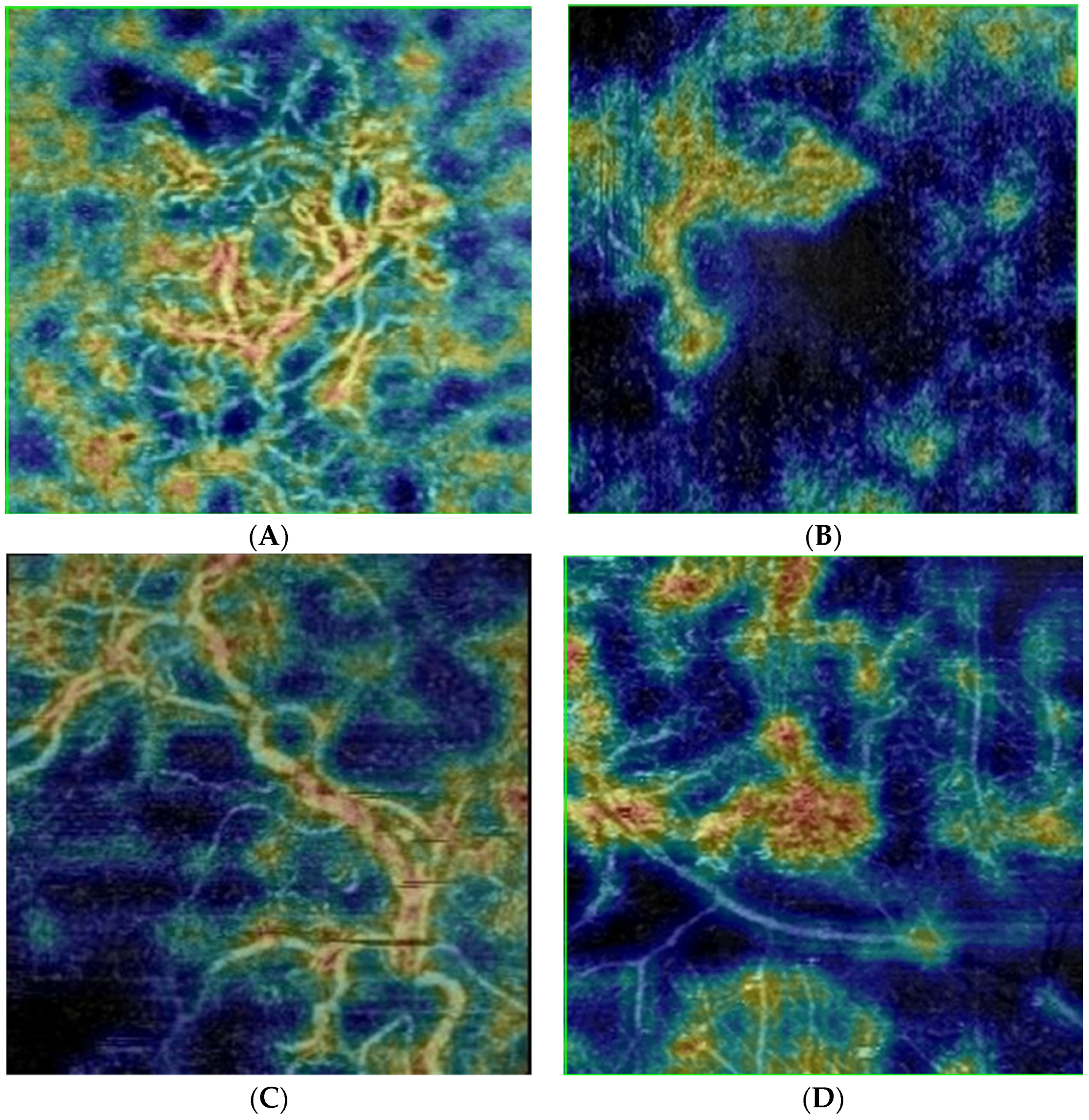 Jpm 12 01456 g001a 550