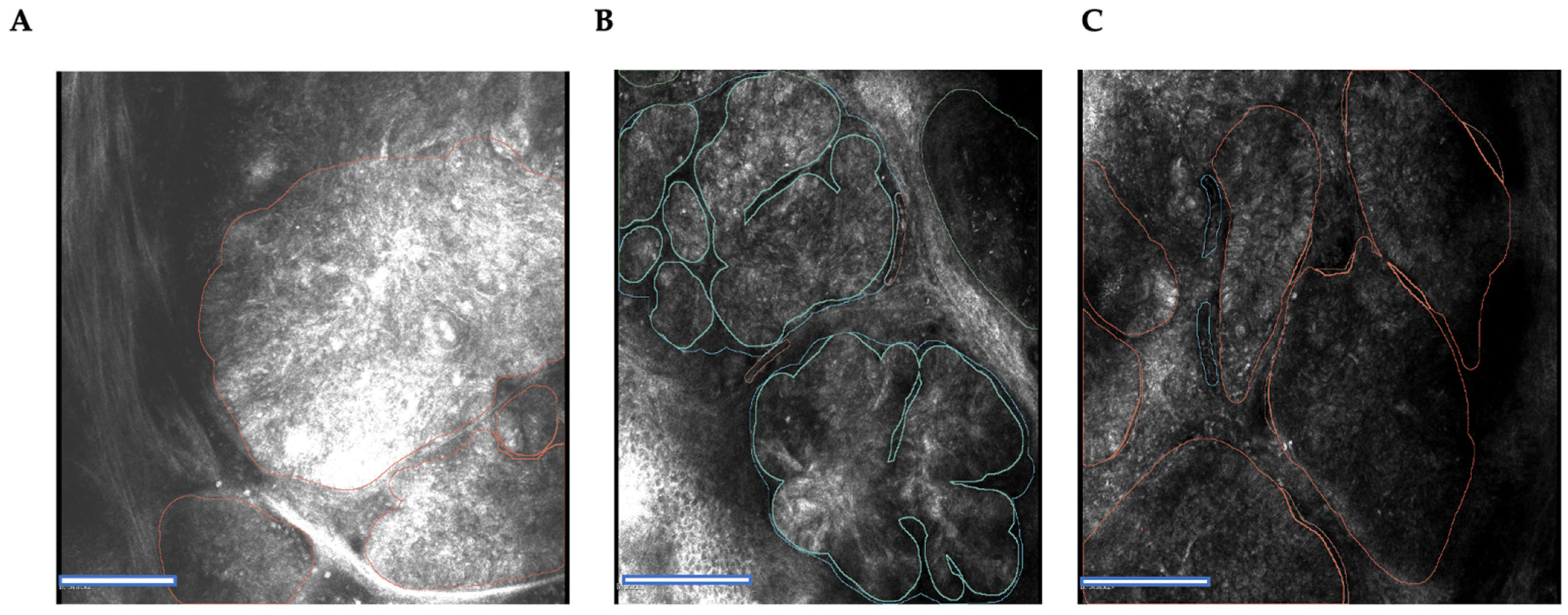 Jpm 12 01471 g002 550