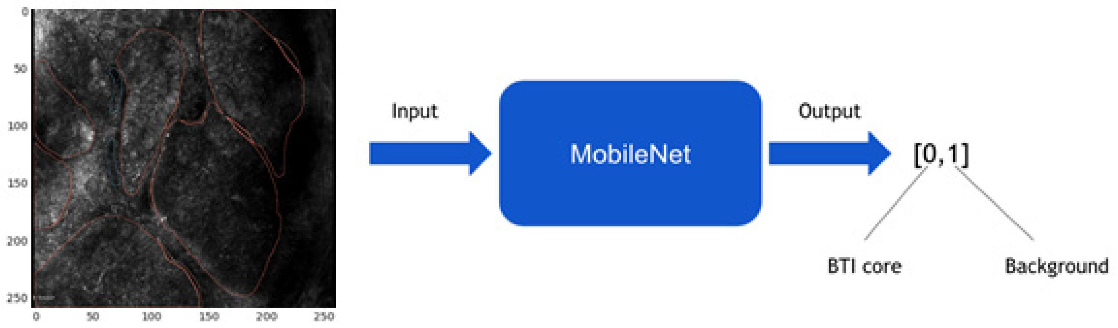 Jpm 12 01471 g003 550