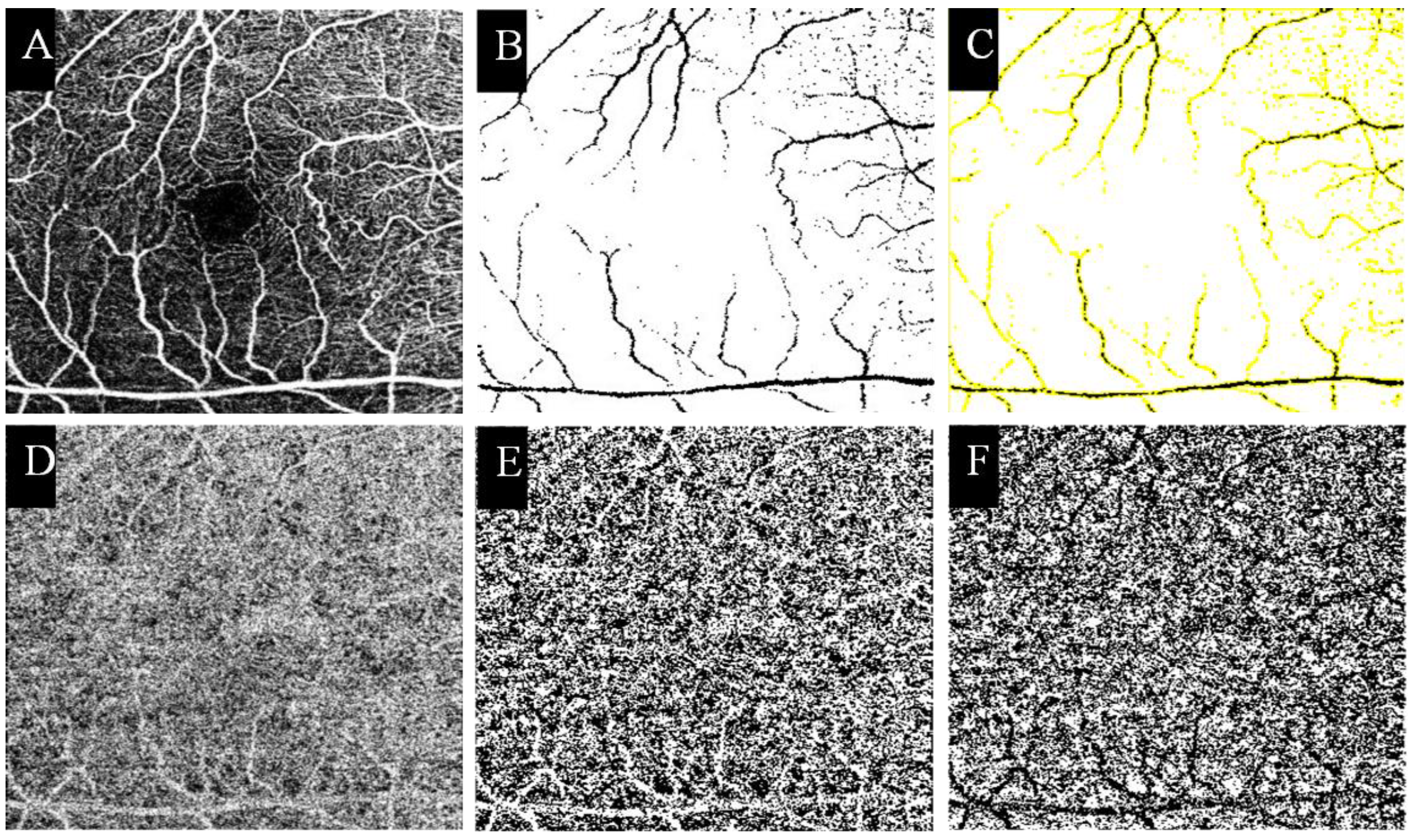 Jpm 12 01493 g003 550