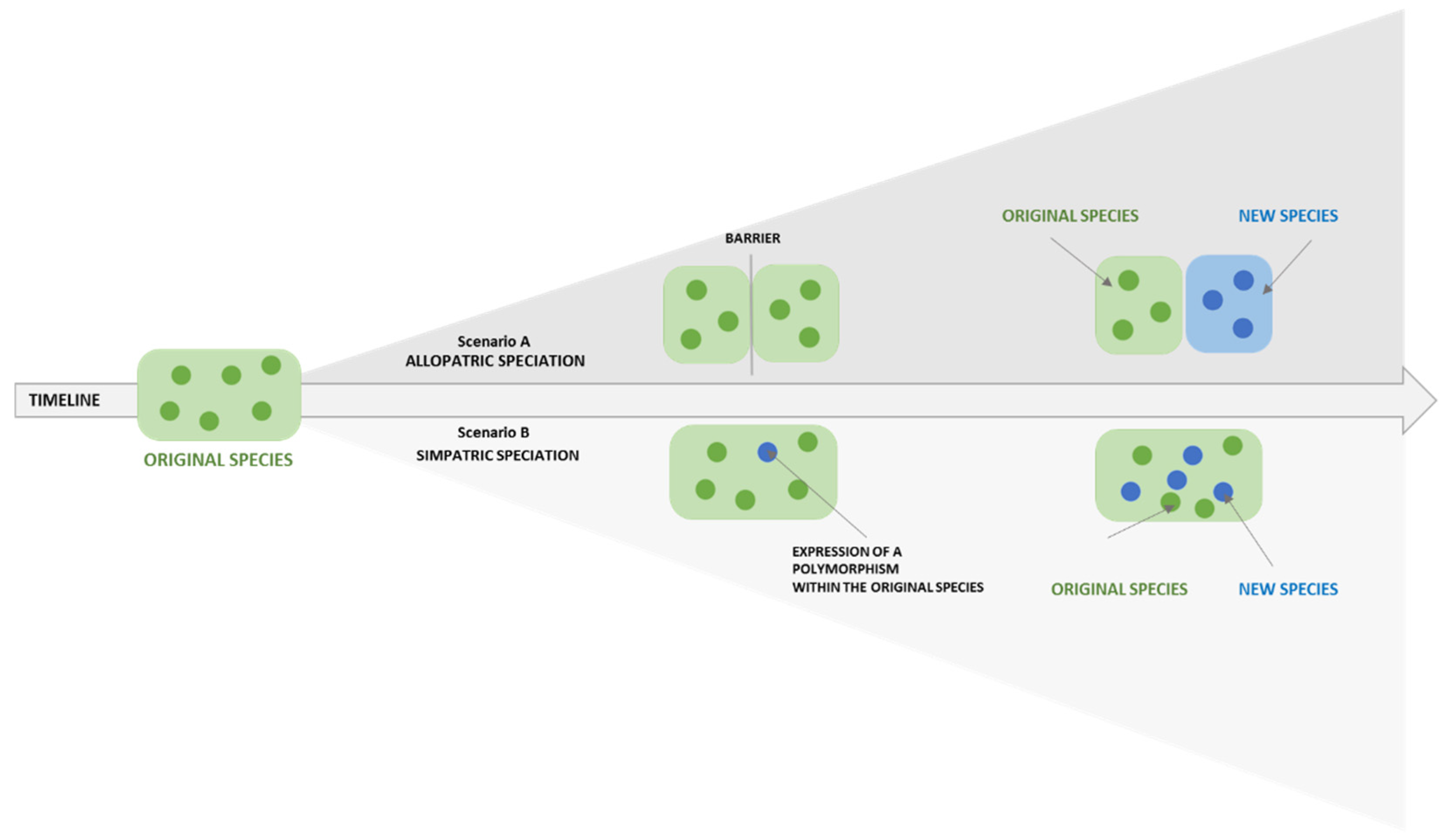 Jpm 12 01500 g002 550