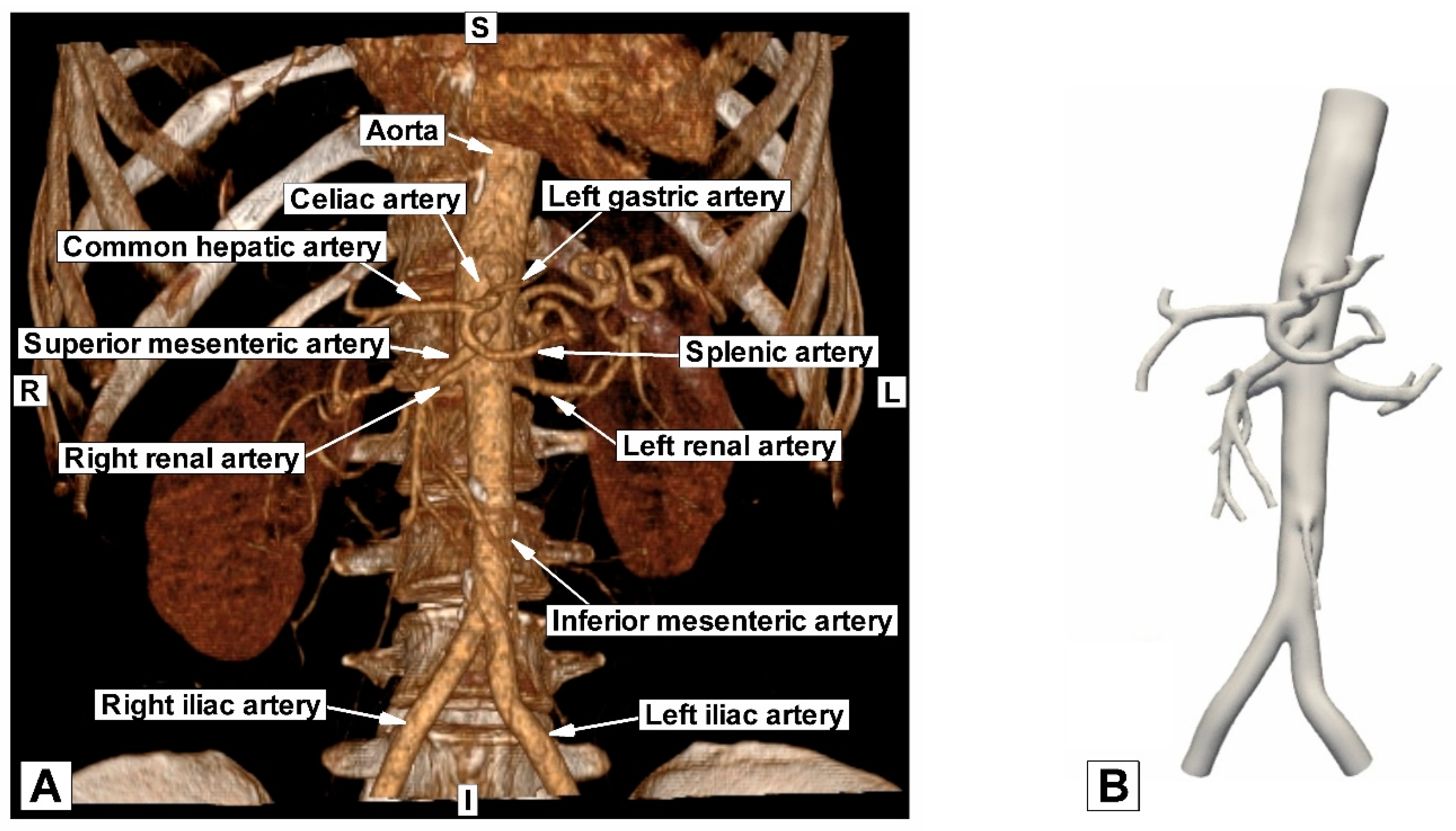 Jpm 12 01502 g002 550