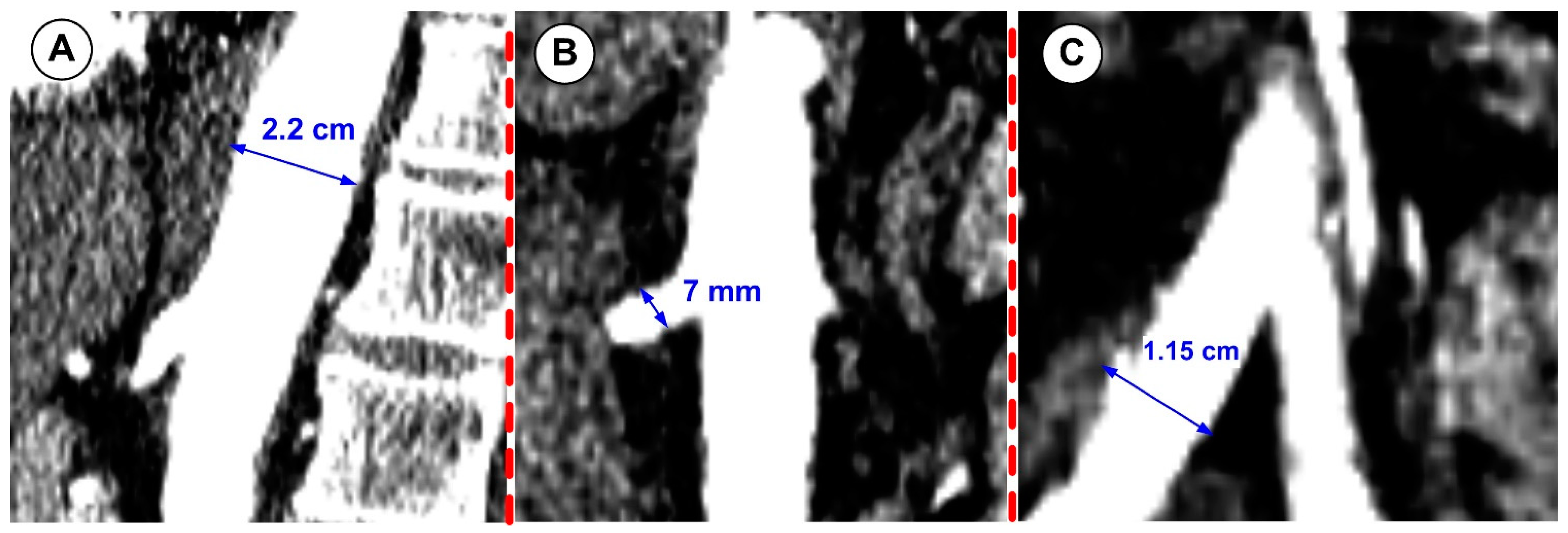 Jpm 12 01502 g003 550