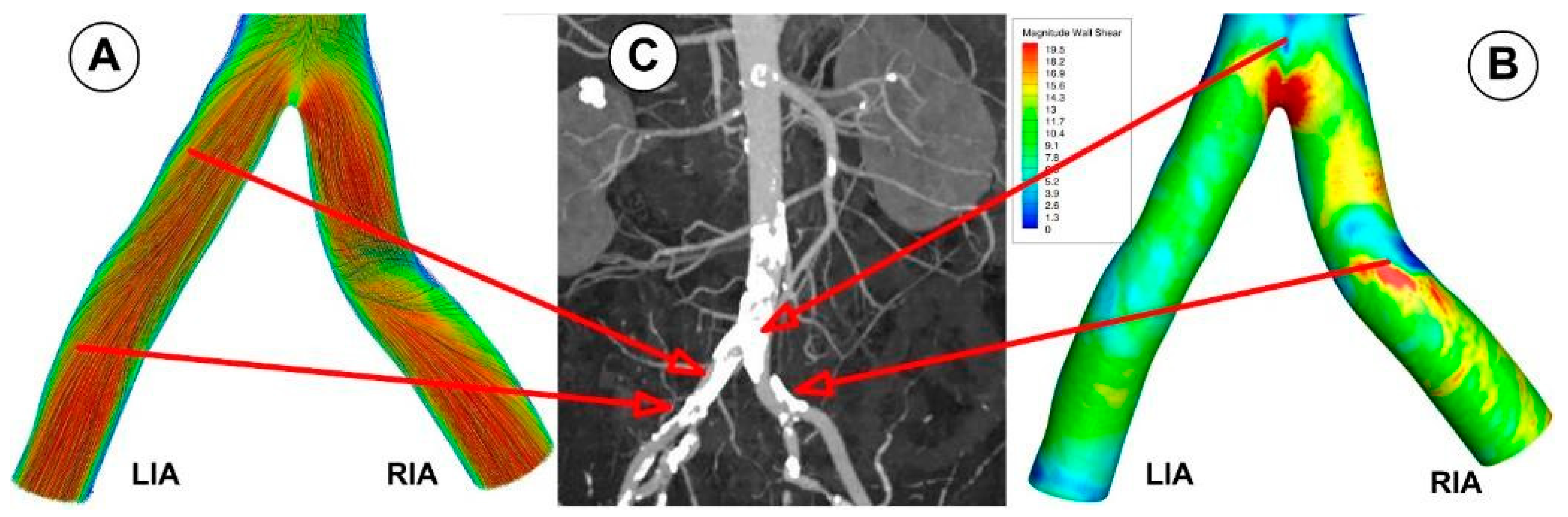 Jpm 12 01502 g020 550