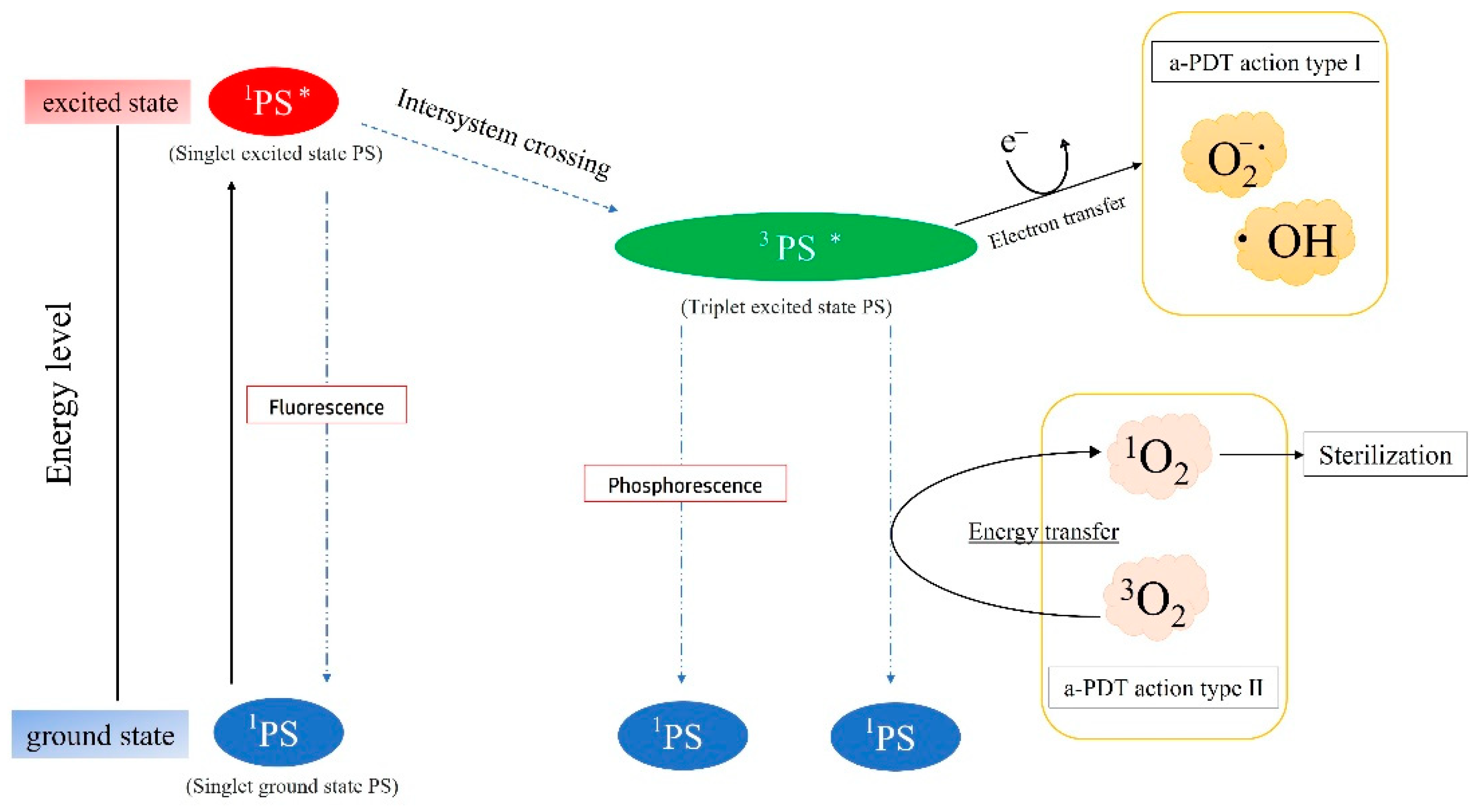 Jpm 12 01531 g003 Jpm 12 01531 g003