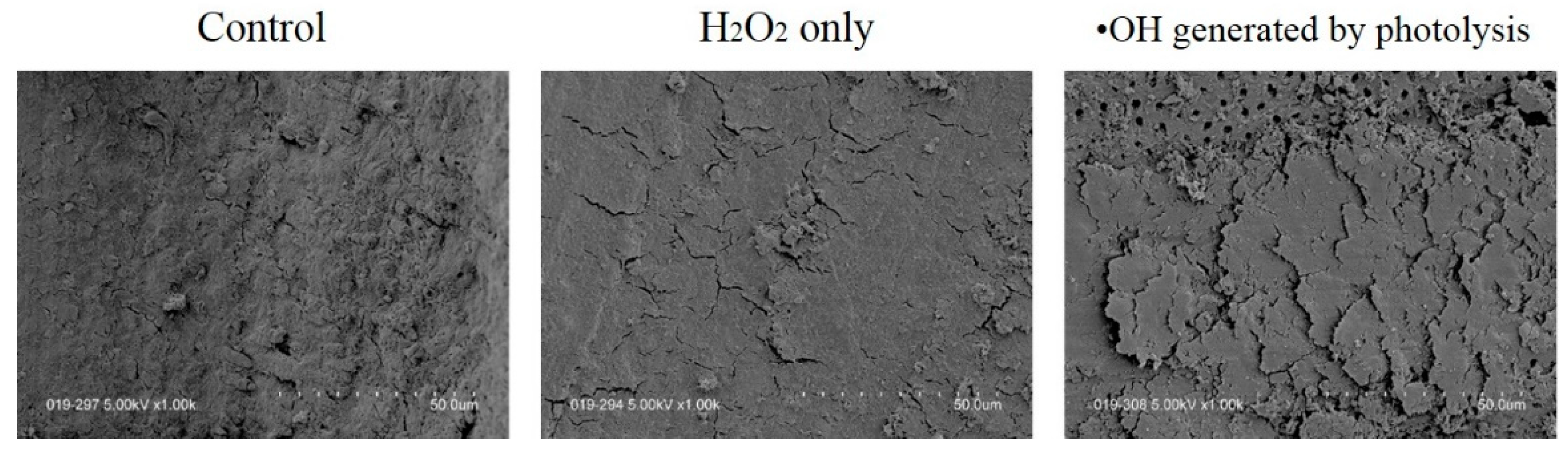 Jpm 12 01531 g009 Jpm 12 01531 g009