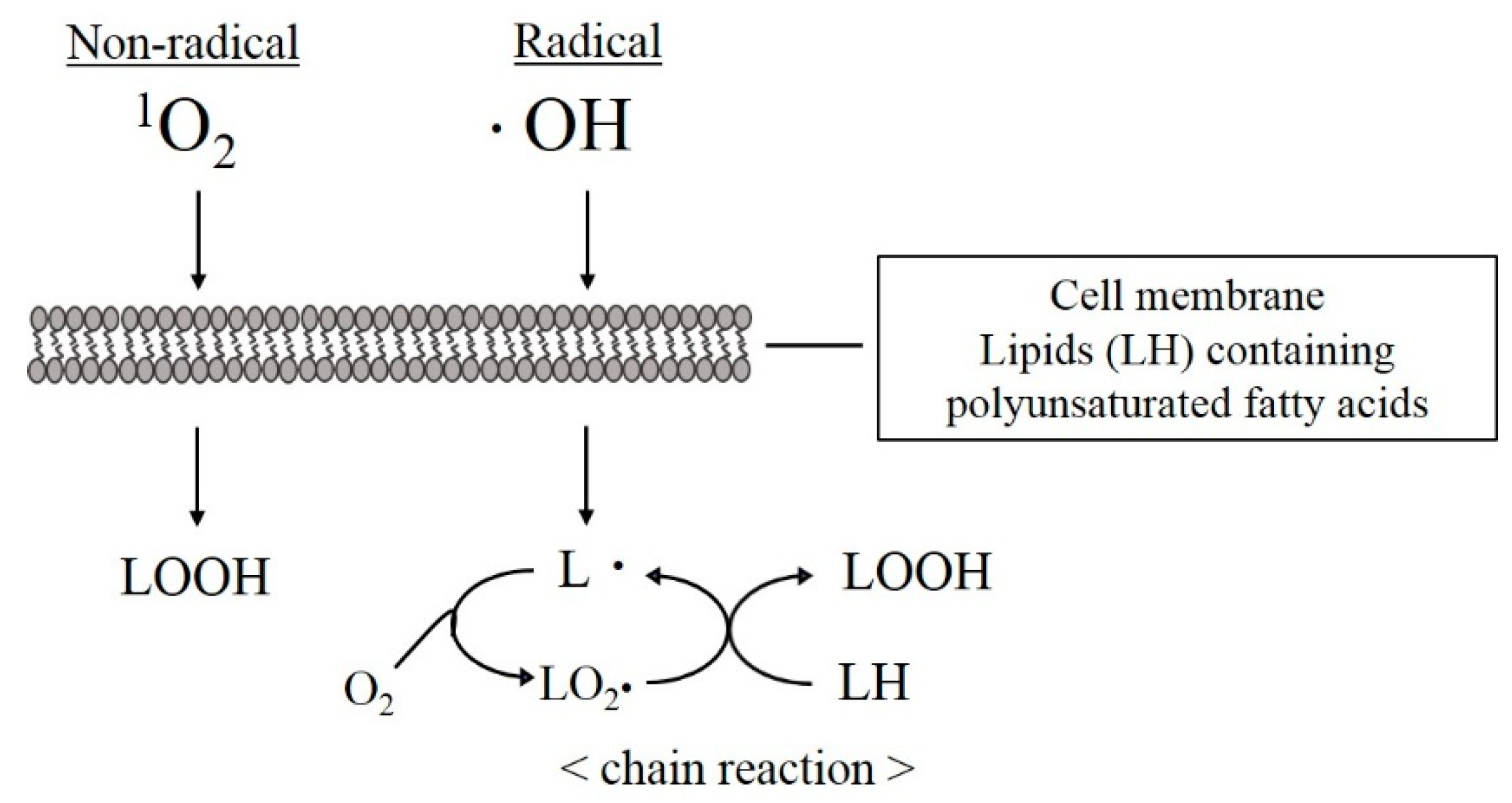 Jpm 12 01531 g010 Jpm 12 01531 g010