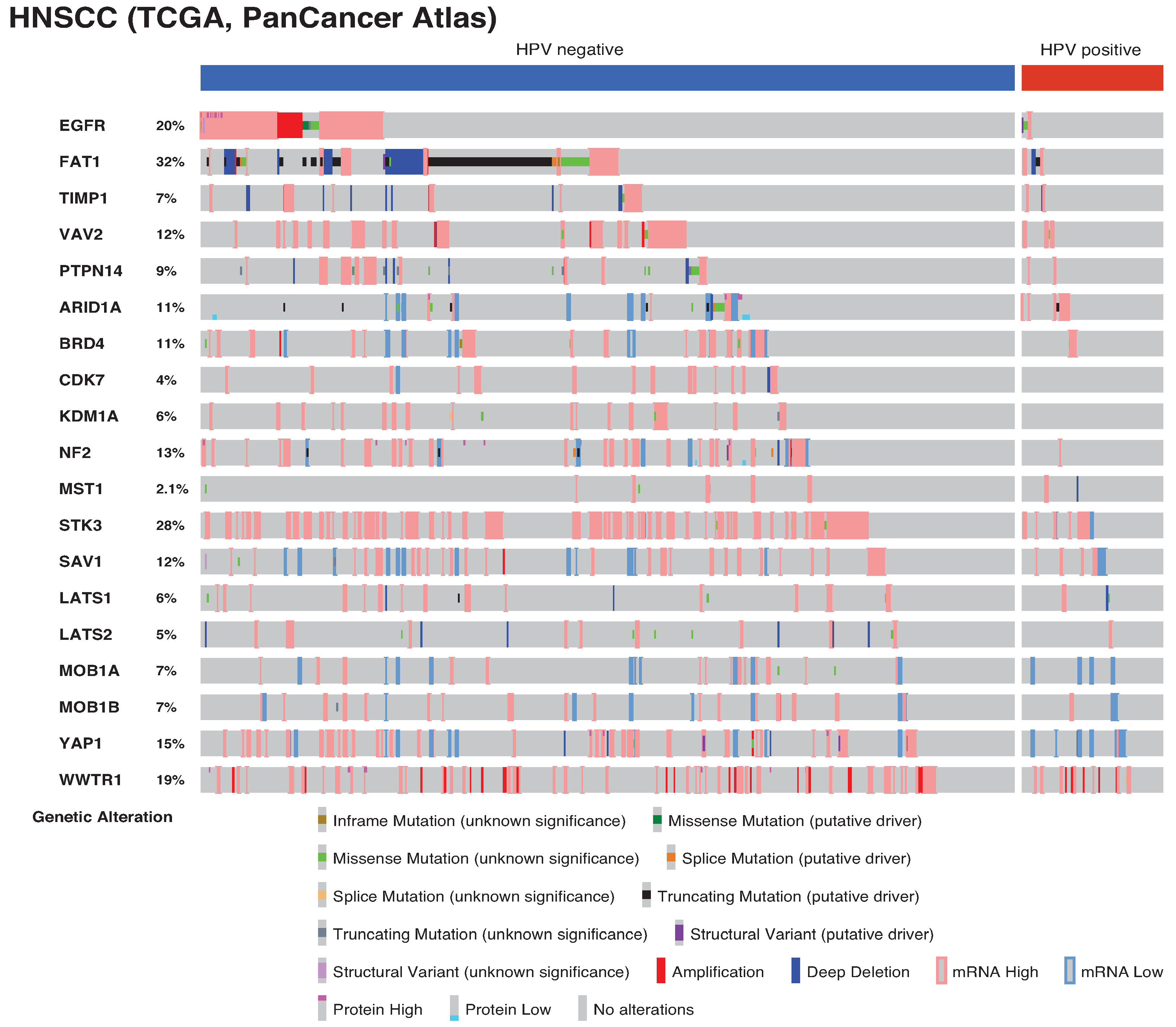 Jpm 12 01544 g002 Jpm 12 01544 g002