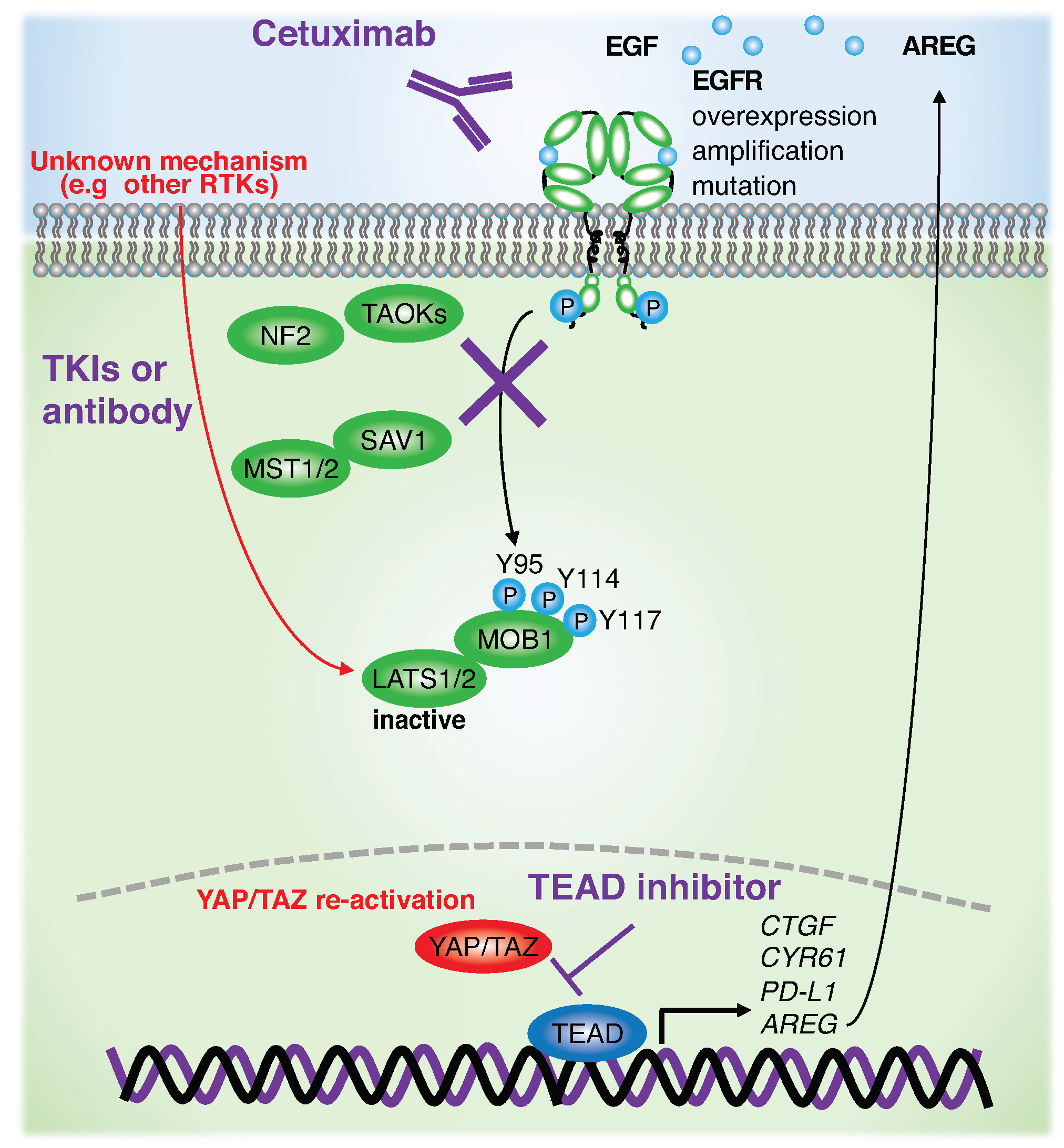 Jpm 12 01544 g004 Jpm 12 01544 g004