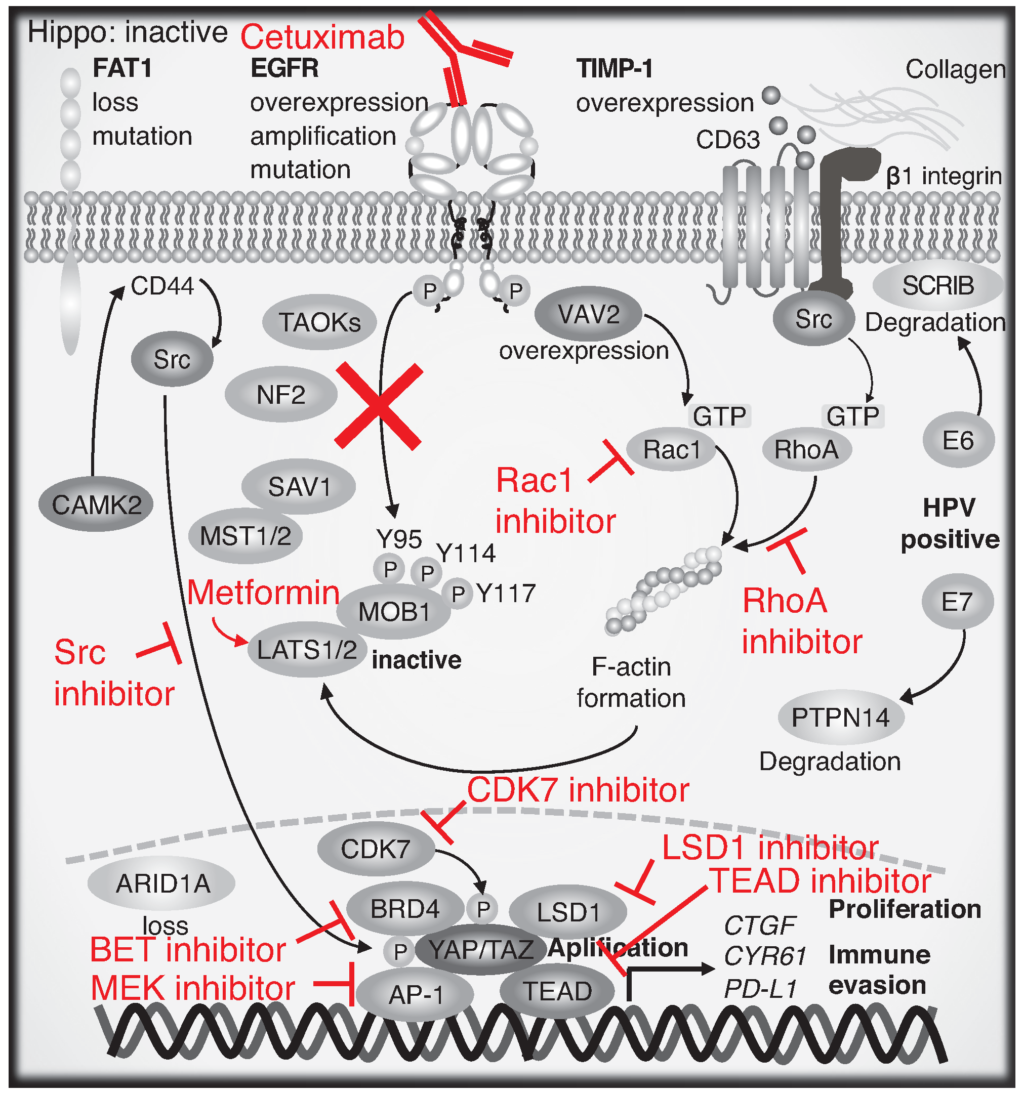 Jpm 12 01544 g005 Jpm 12 01544 g005