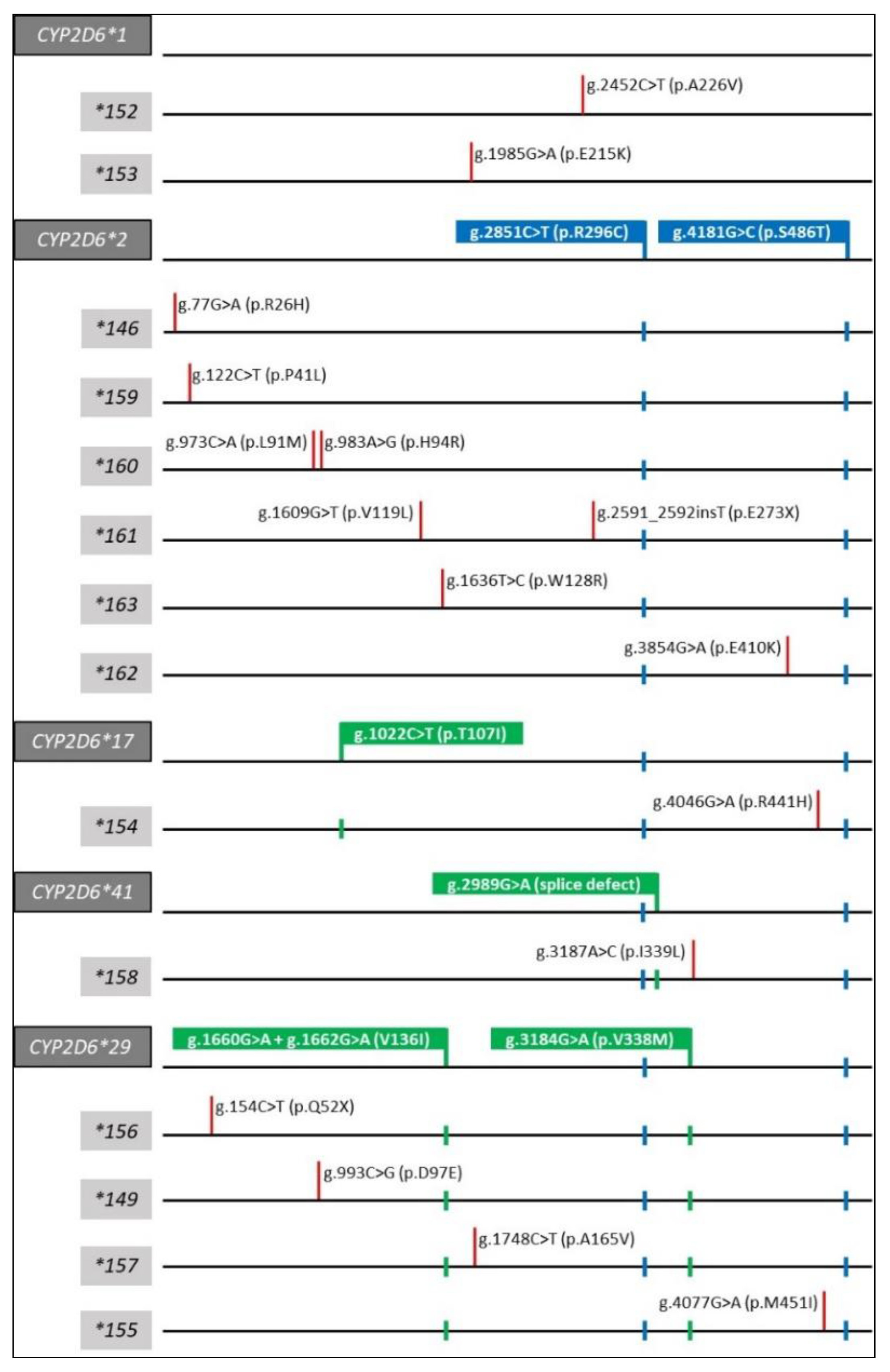 Jpm 12 01575 g001 Jpm 12 01575 g001
