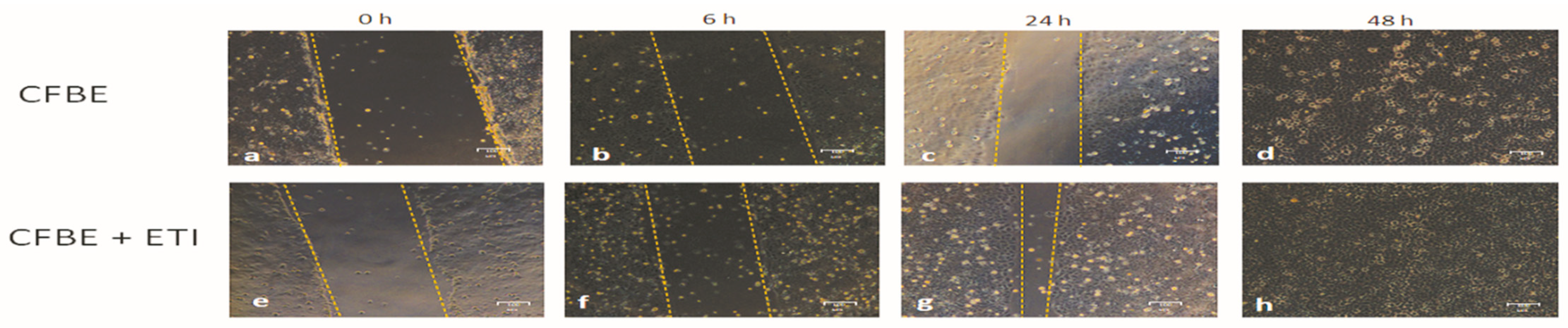 Jpm 12 01577 g002 Jpm 12 01577 g002