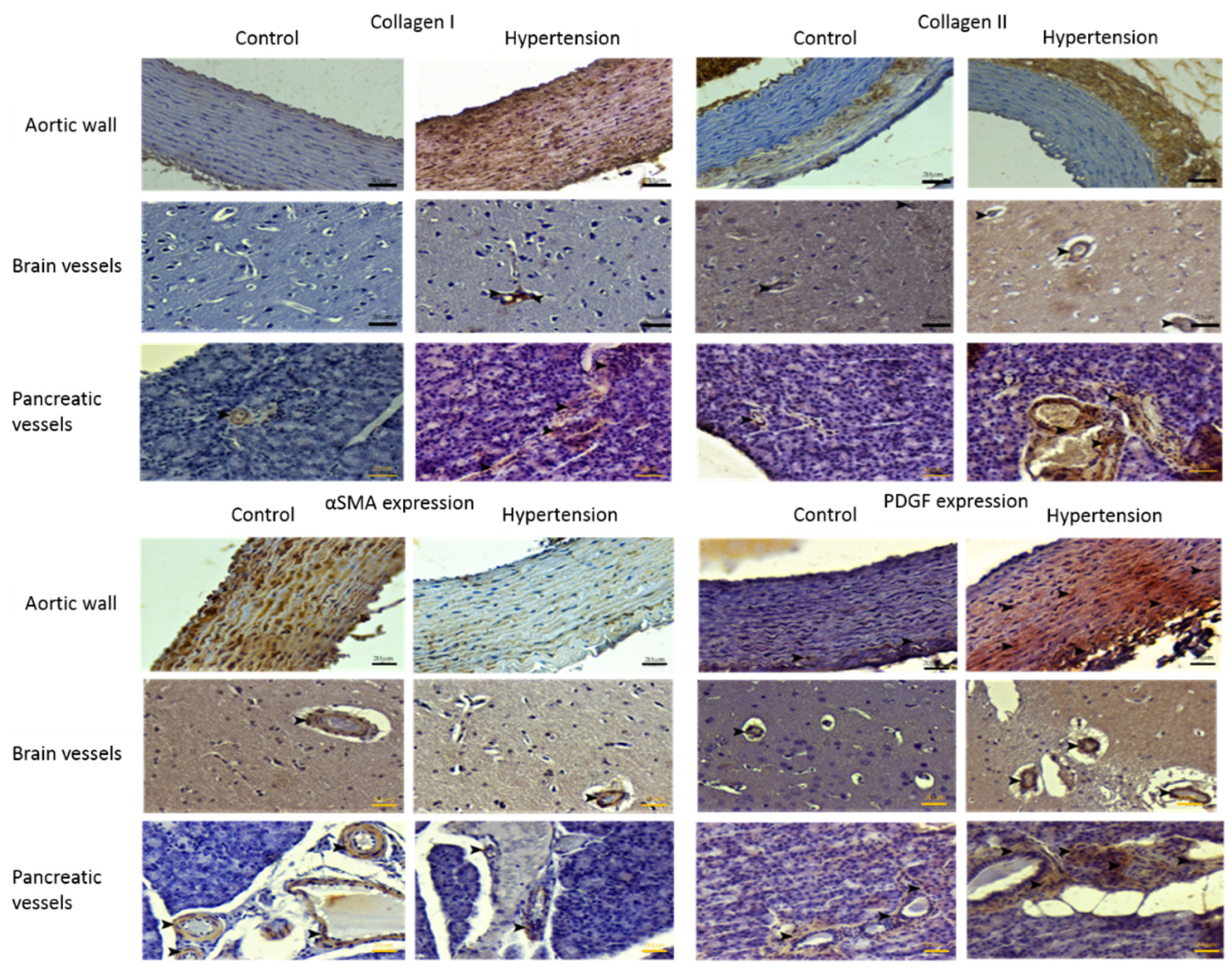 Jpm 12 01602 g003 550