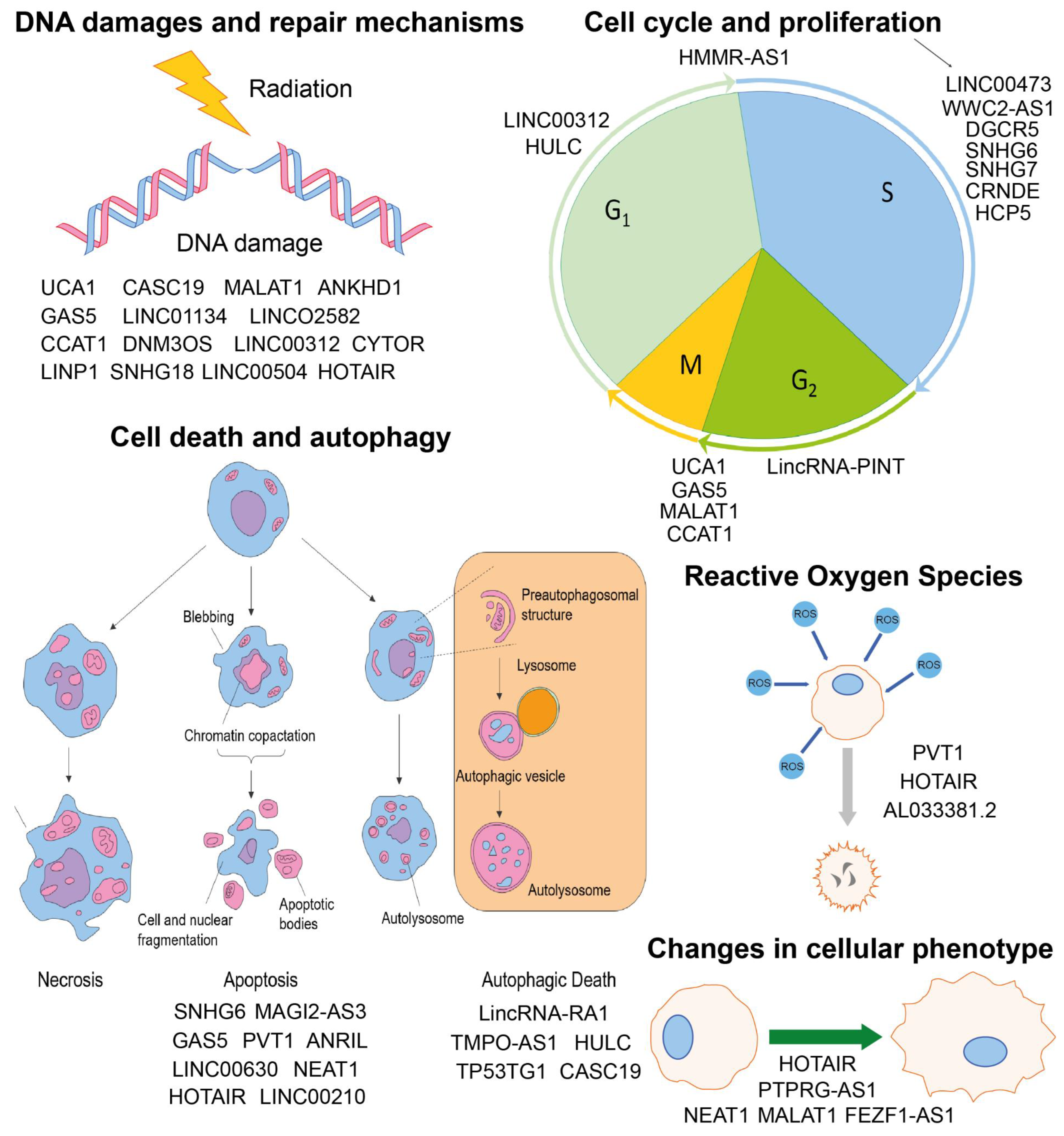 Jpm 12 01605 g001 Jpm 12 01605 g001