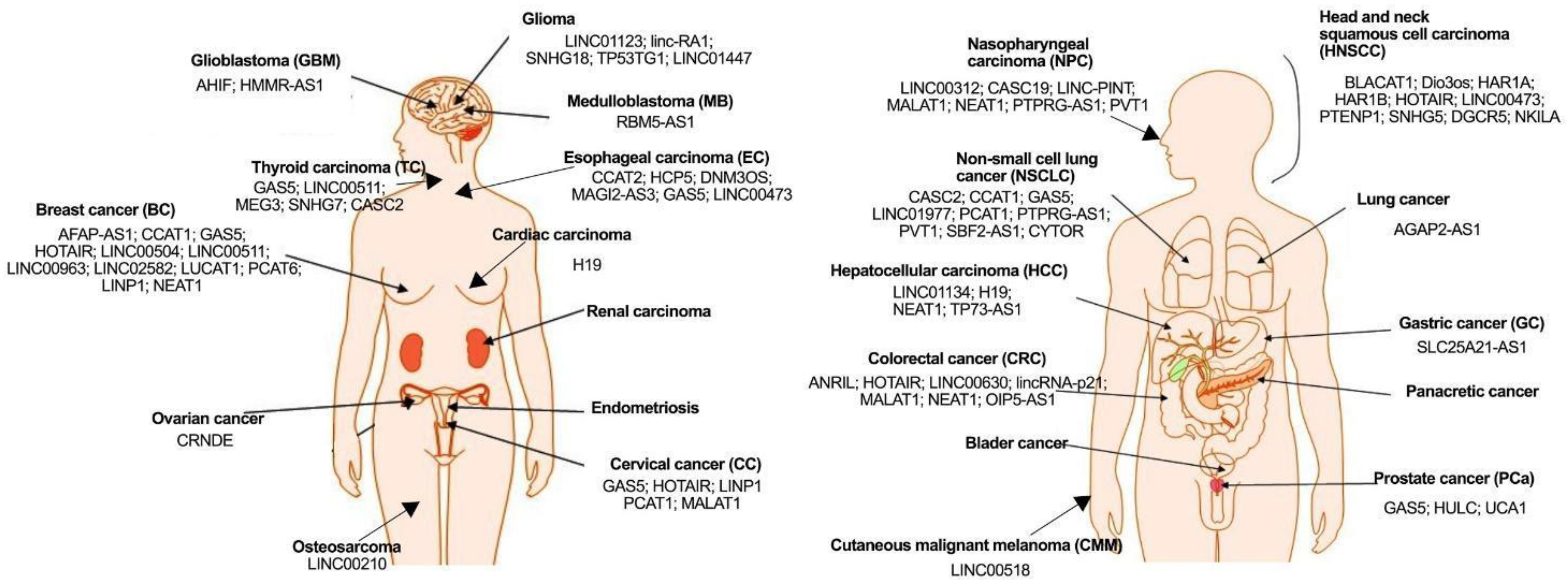 Jpm 12 01605 g002 Jpm 12 01605 g002