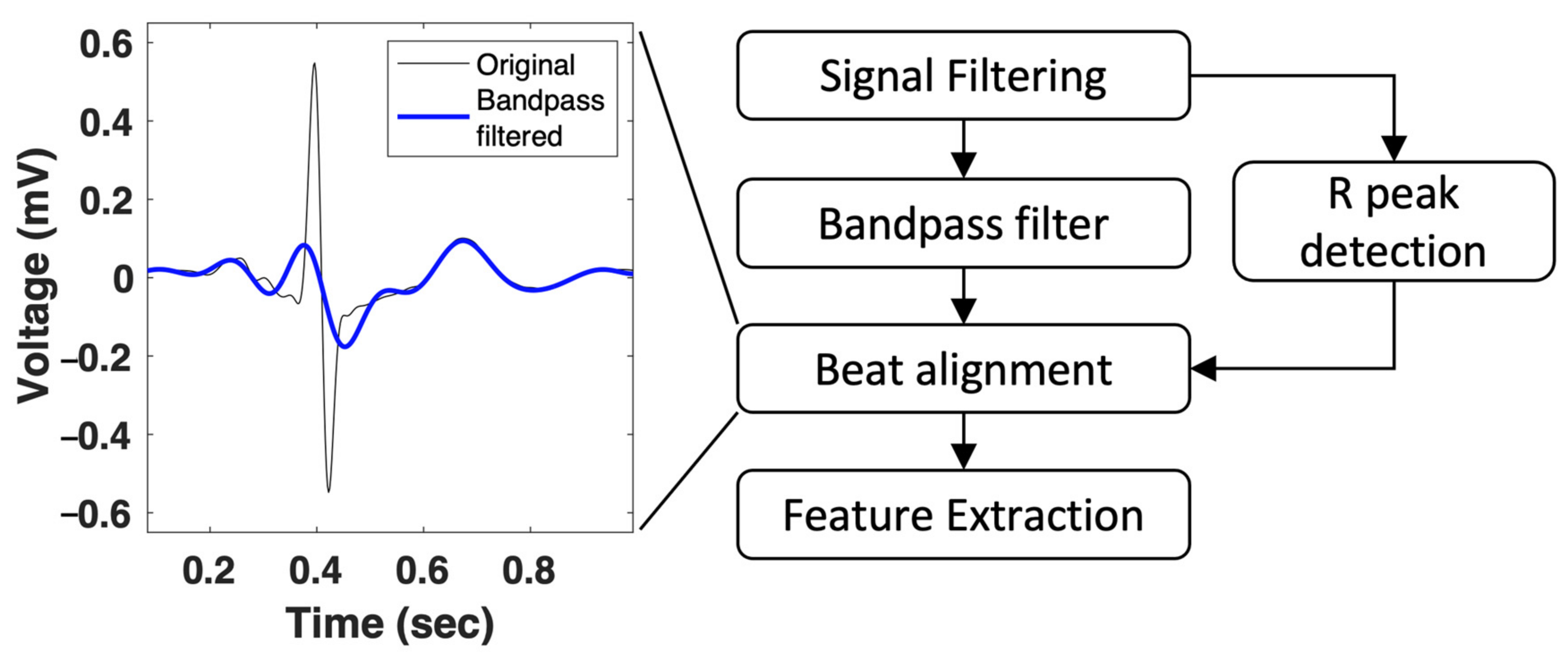 Jpm 12 01608 g004 Jpm 12 01608 g004